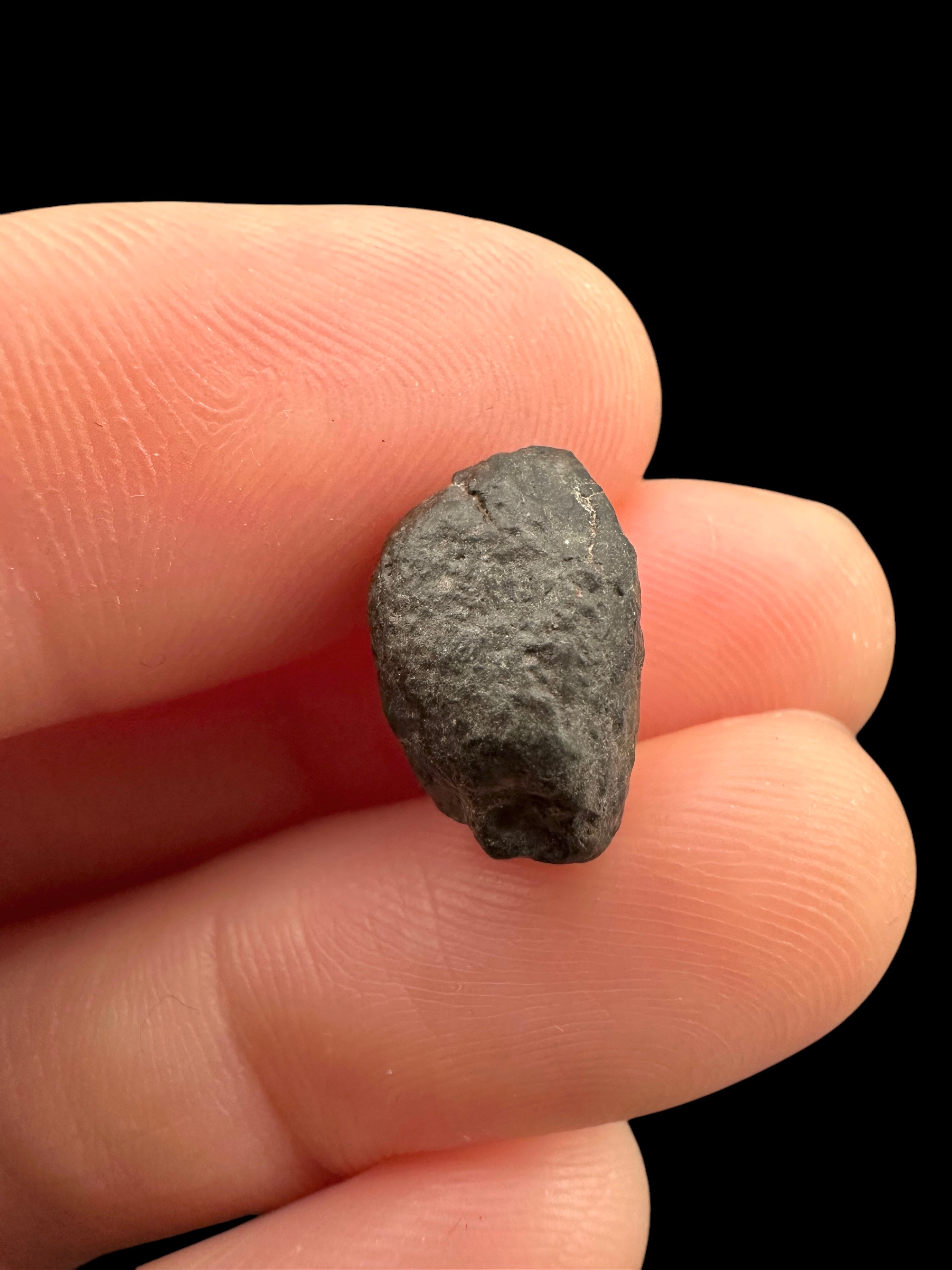 Meteorite NWA 869 – 1,5g – Northwest Africa - MENW27