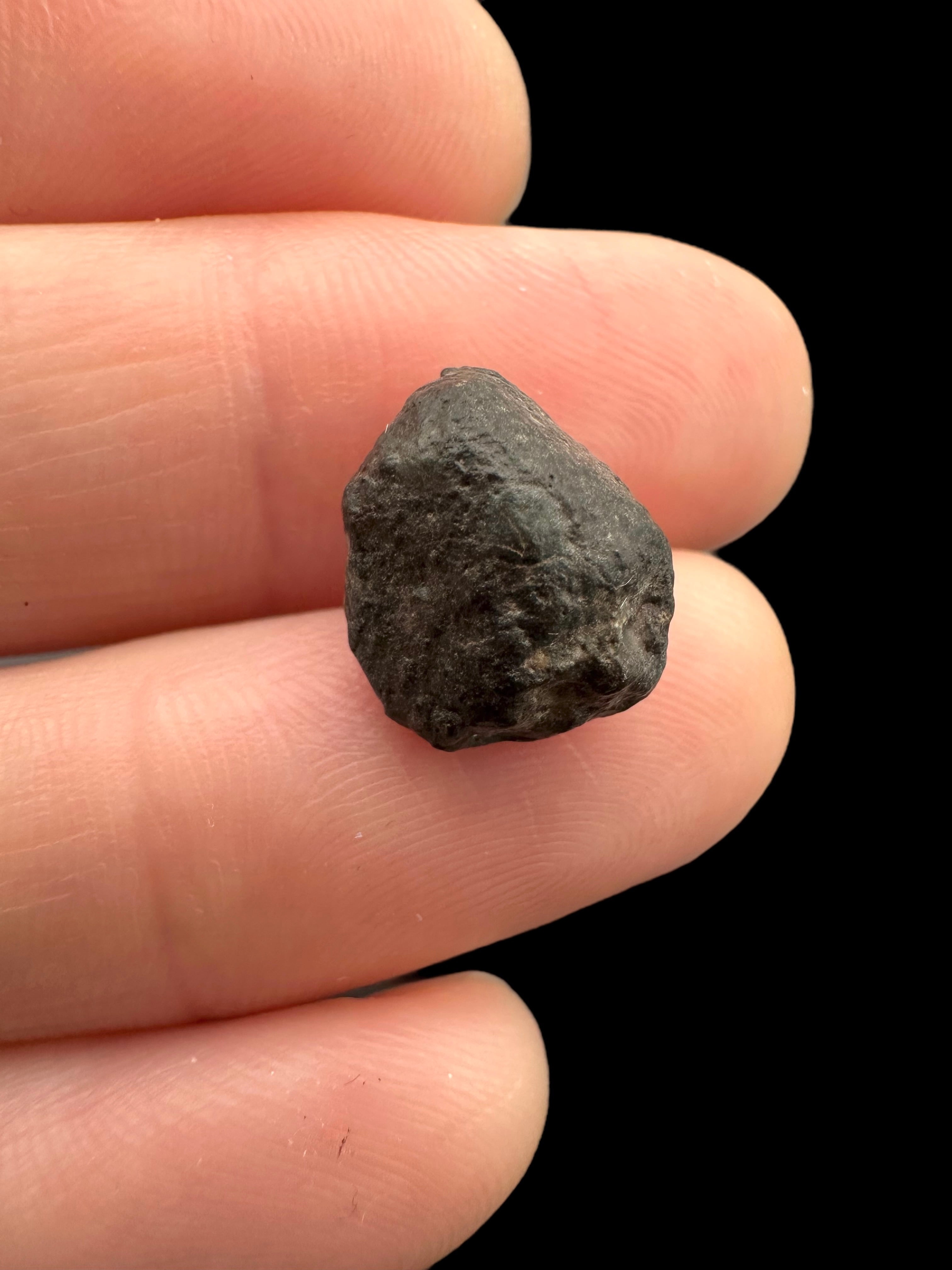 Meteorite NWA 869 – 1,5g – Northwest Africa - MENW27