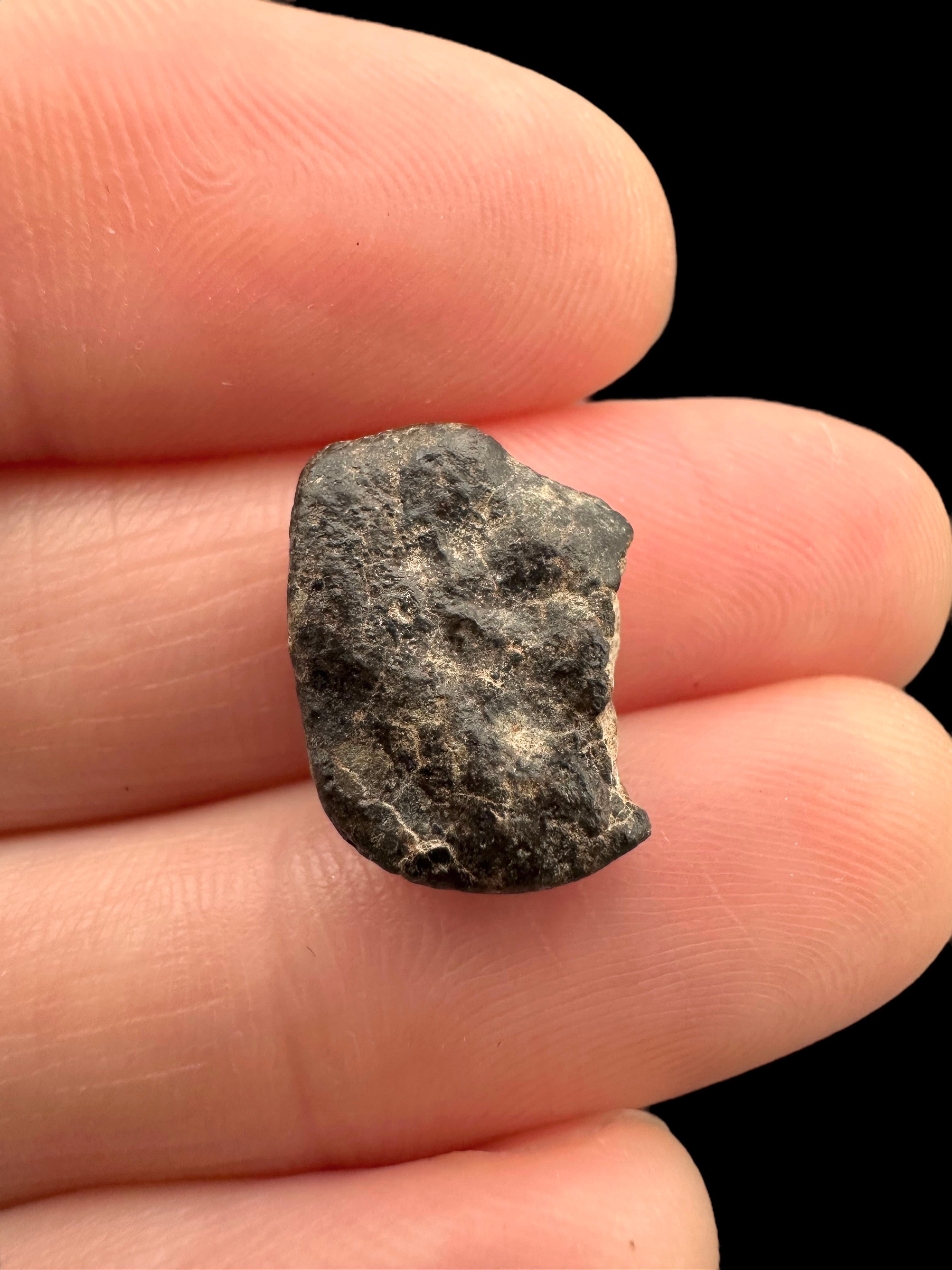 Meteorite NWA 869 – 1,4g – Northwest Africa - MENW28