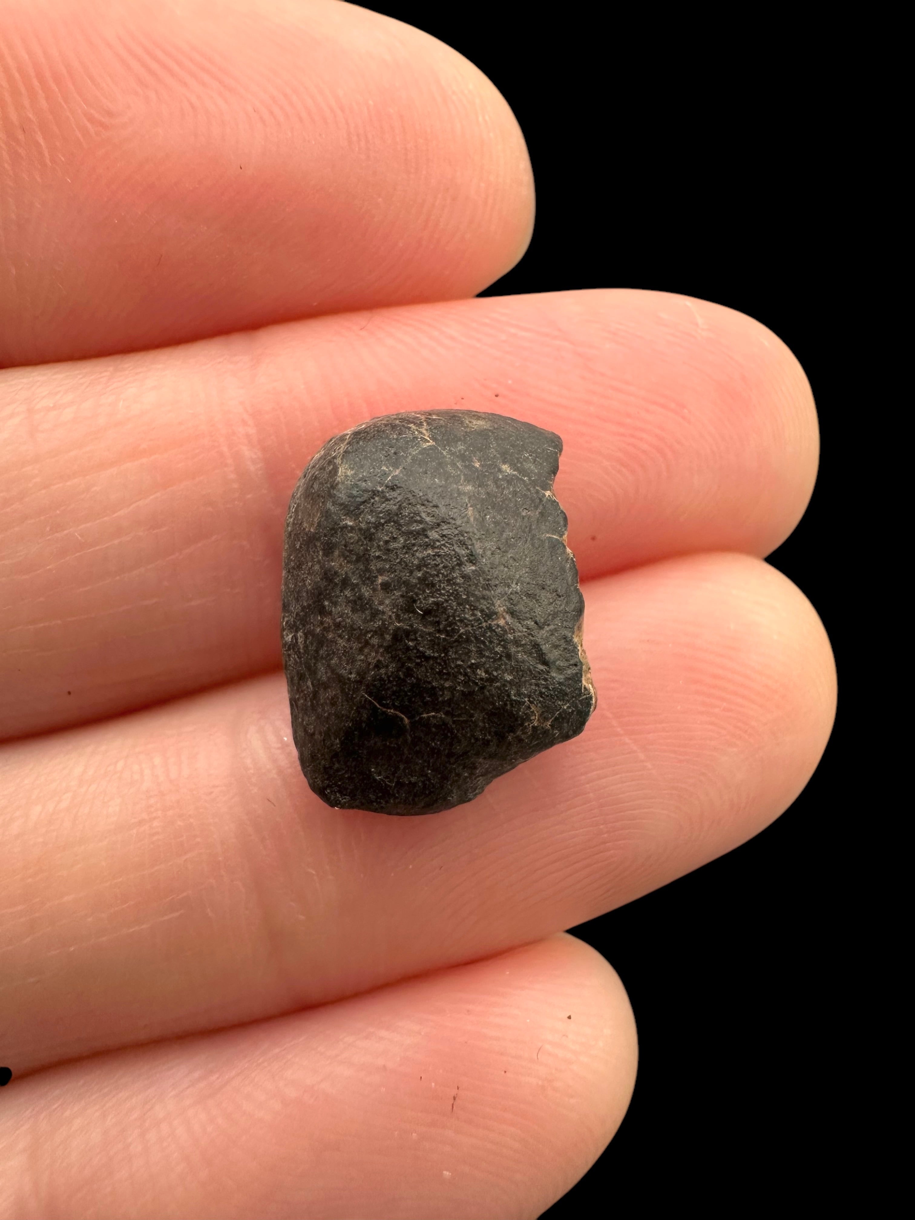 Meteorite NWA 869 – 1,4g – Northwest Africa - MENW28