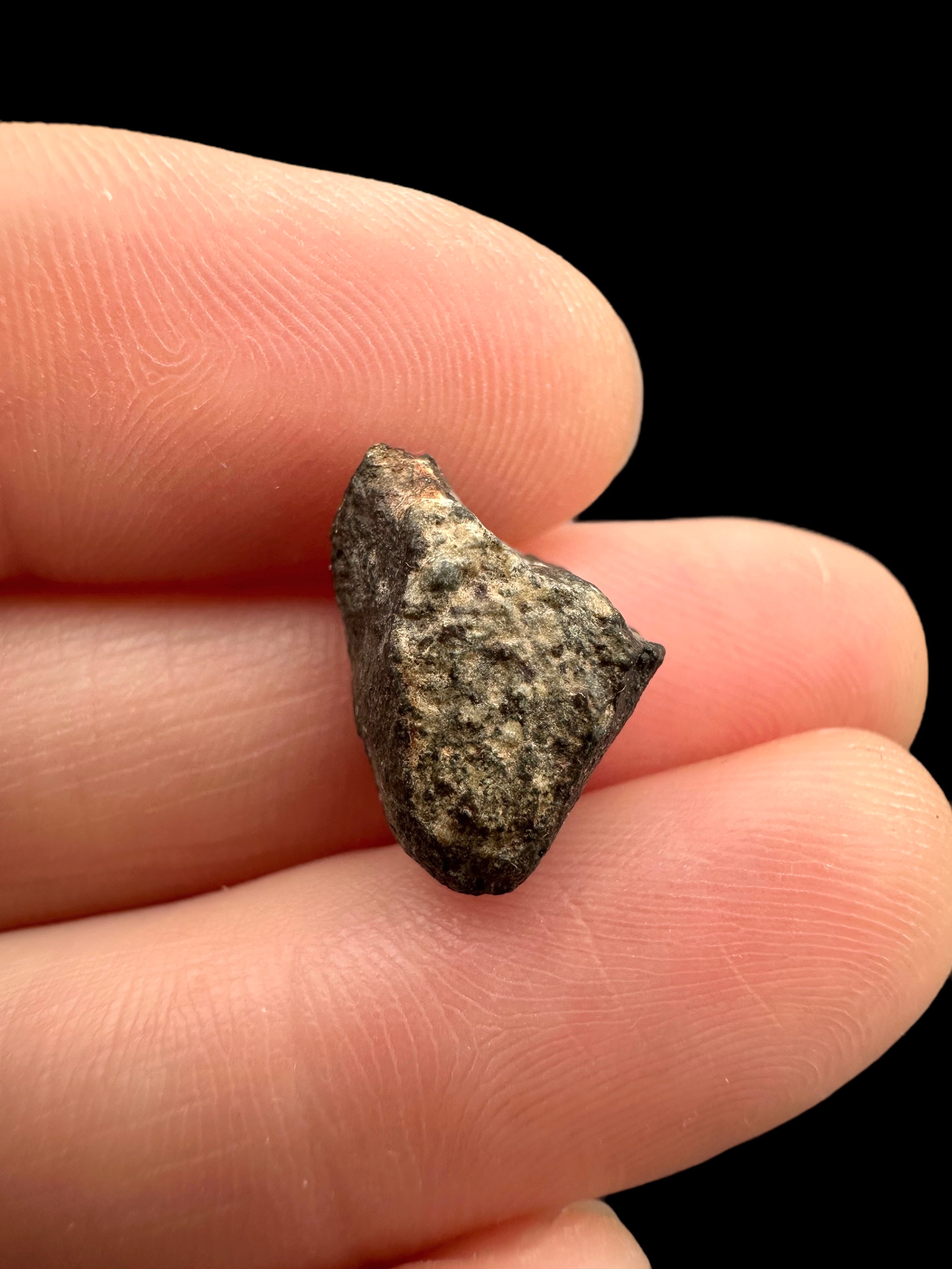 Meteorite NWA 869 – 1,6g – Northwest Africa - MENW30