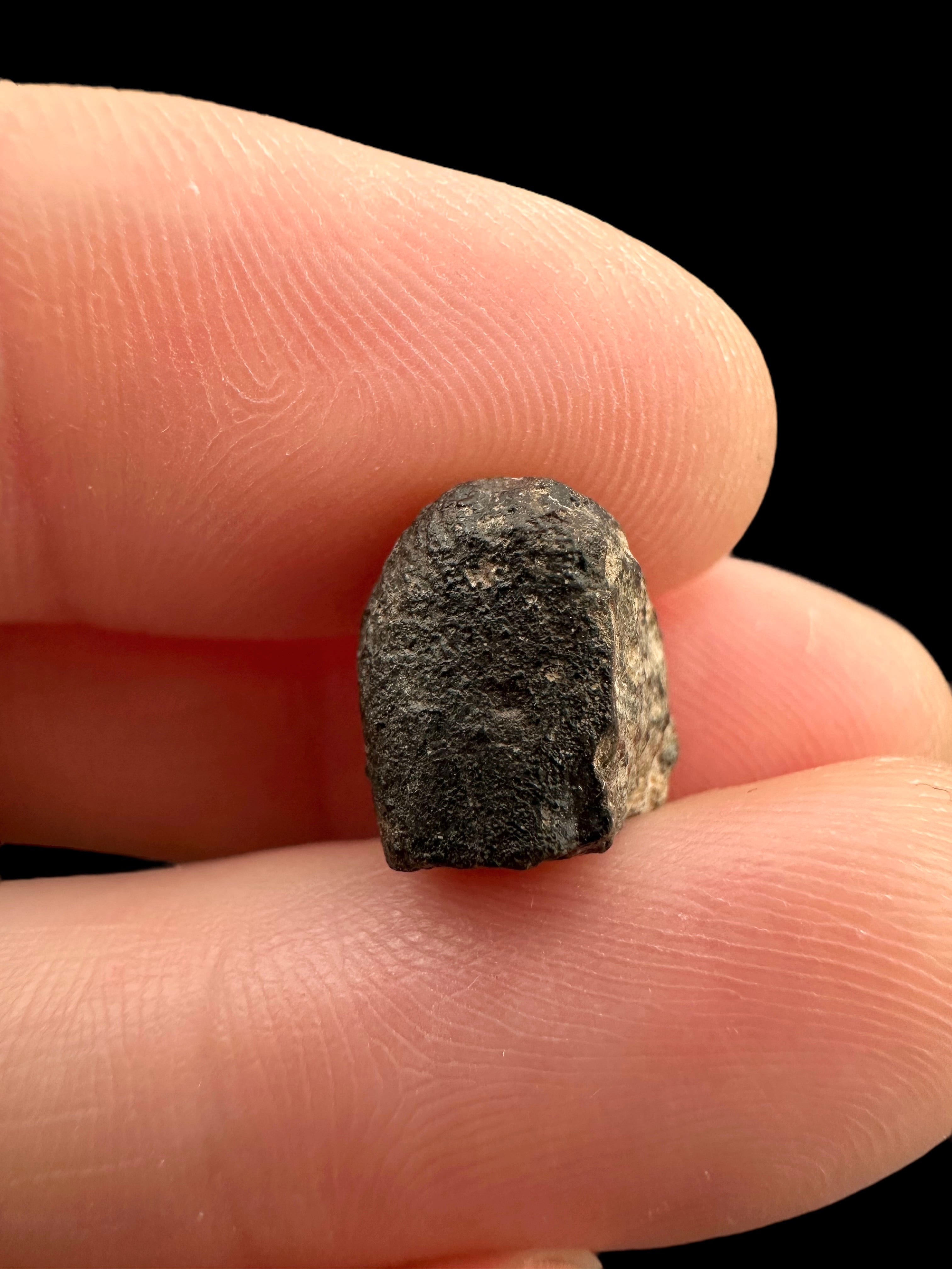 Meteorite NWA 869 – 1,6g – Northwest Africa - MENW30