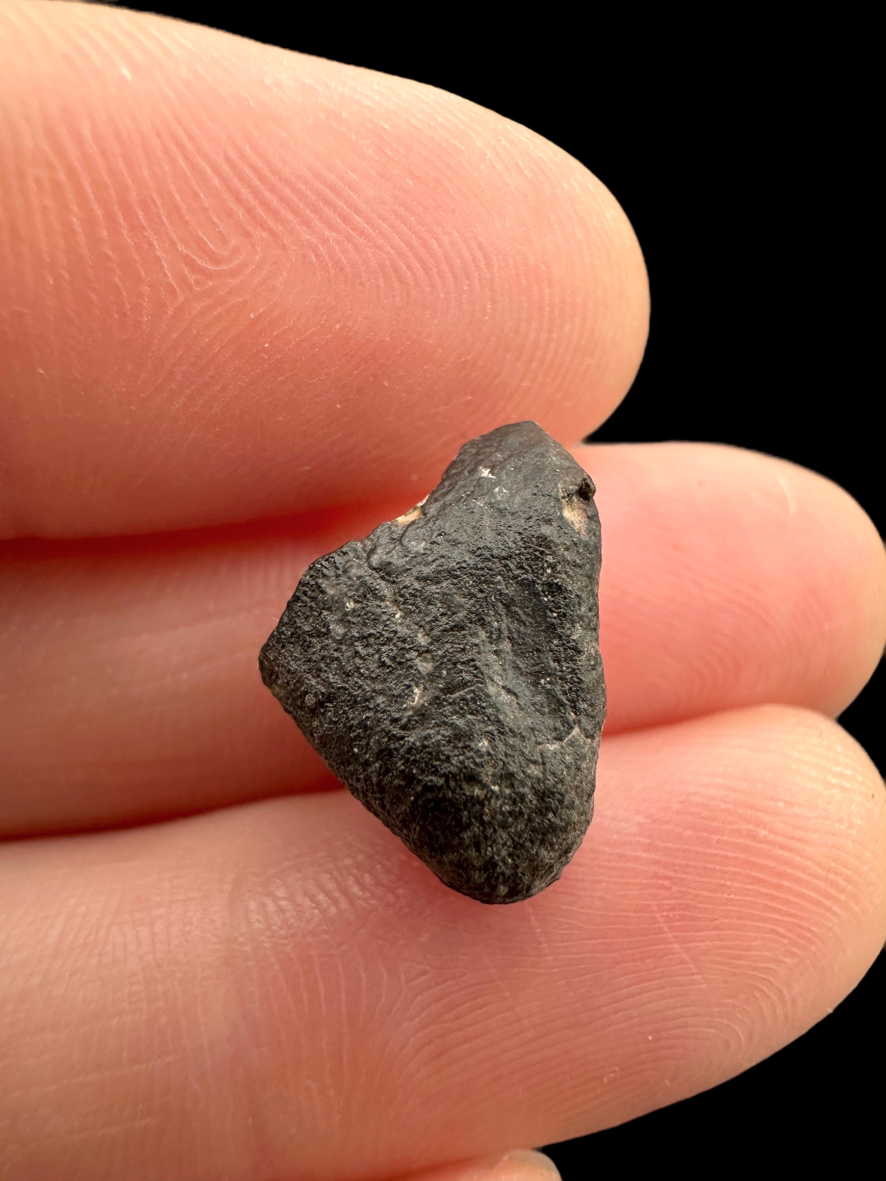 Meteorite NWA 869 – 1,6g – Northwest Africa - MENW30