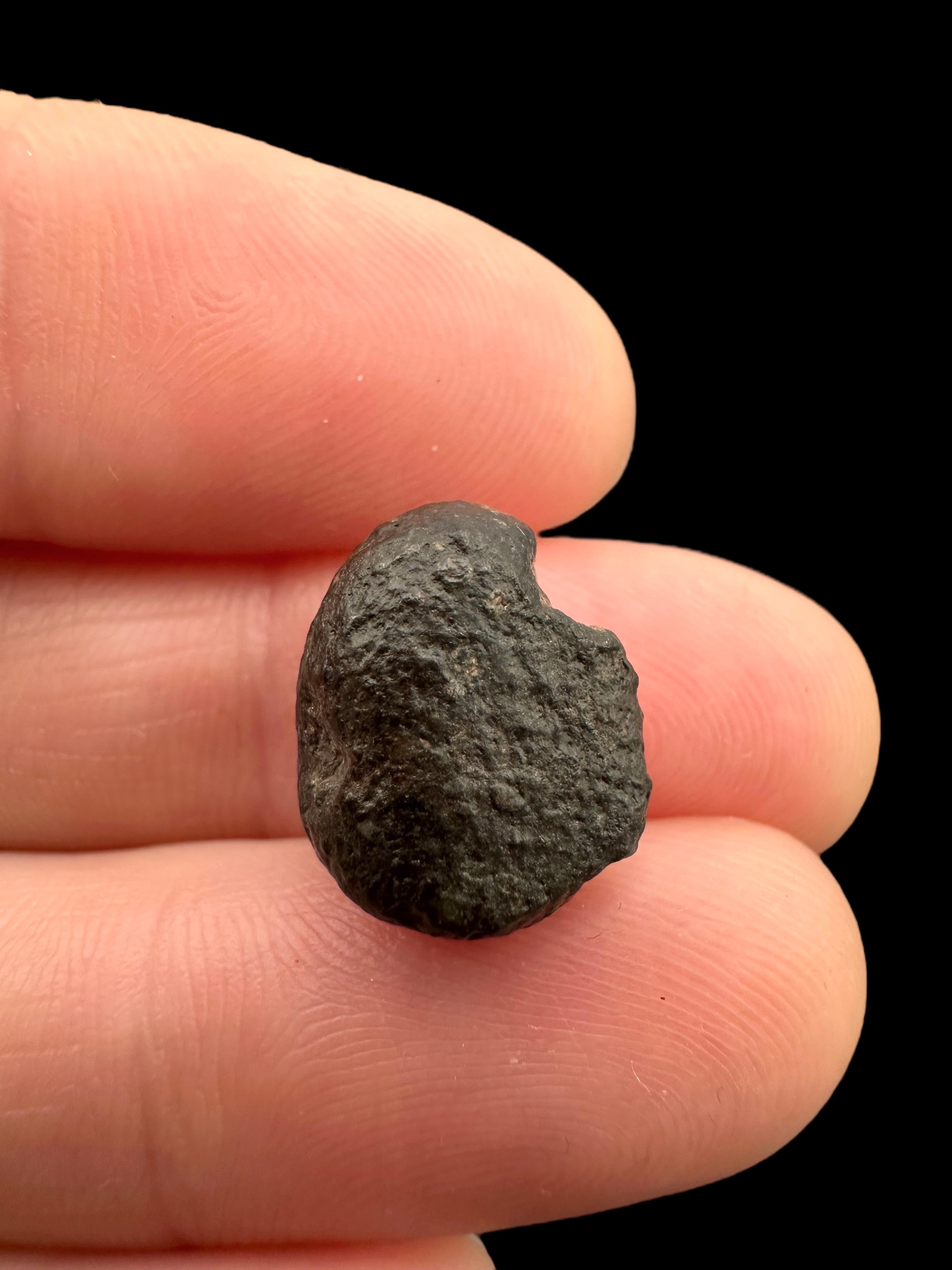 Meteorite NWA 869 – 1,9g – Northwest Africa - MENW31