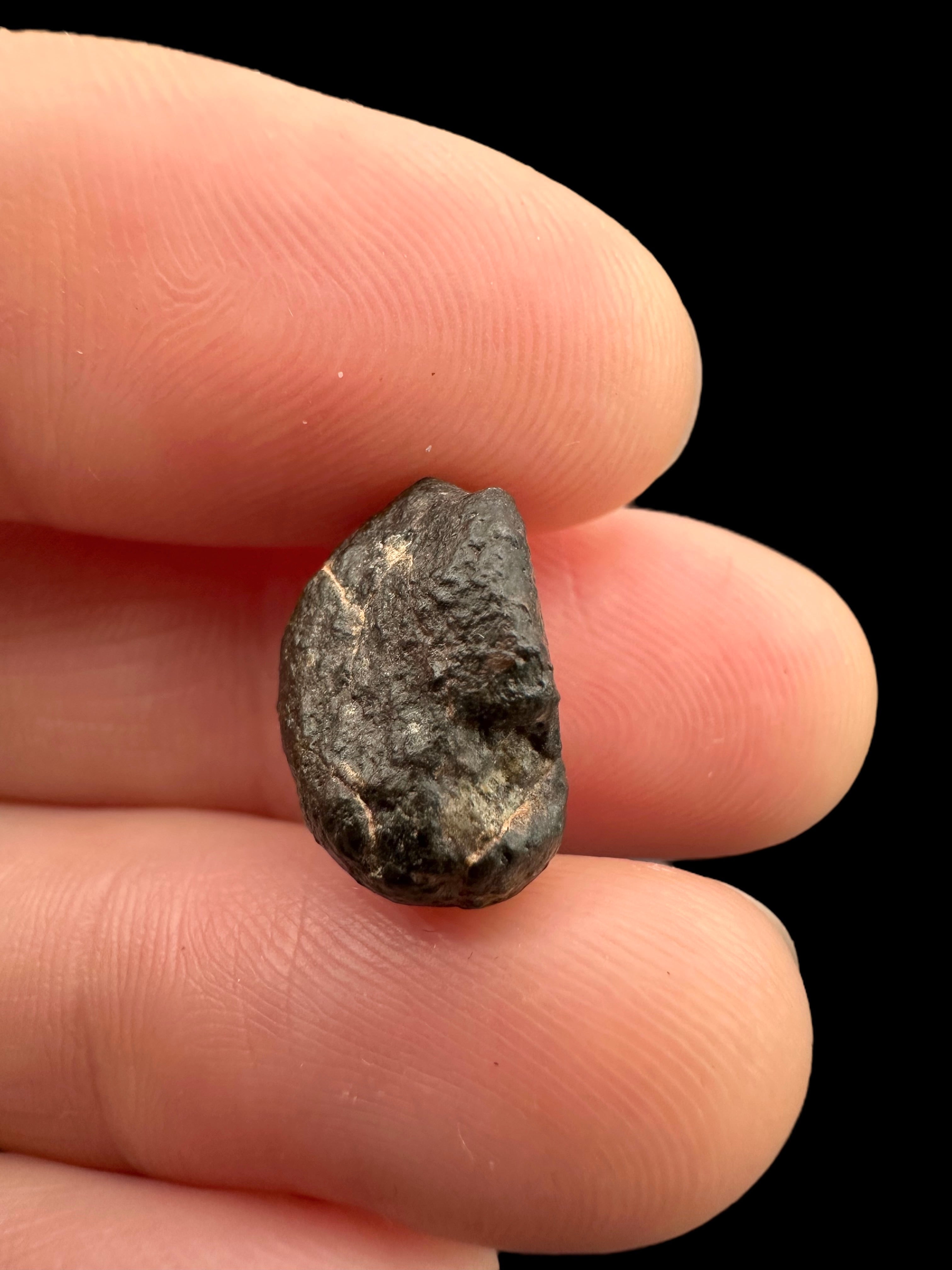 Meteorite NWA 869 – 1,9g – Northwest Africa - MENW31