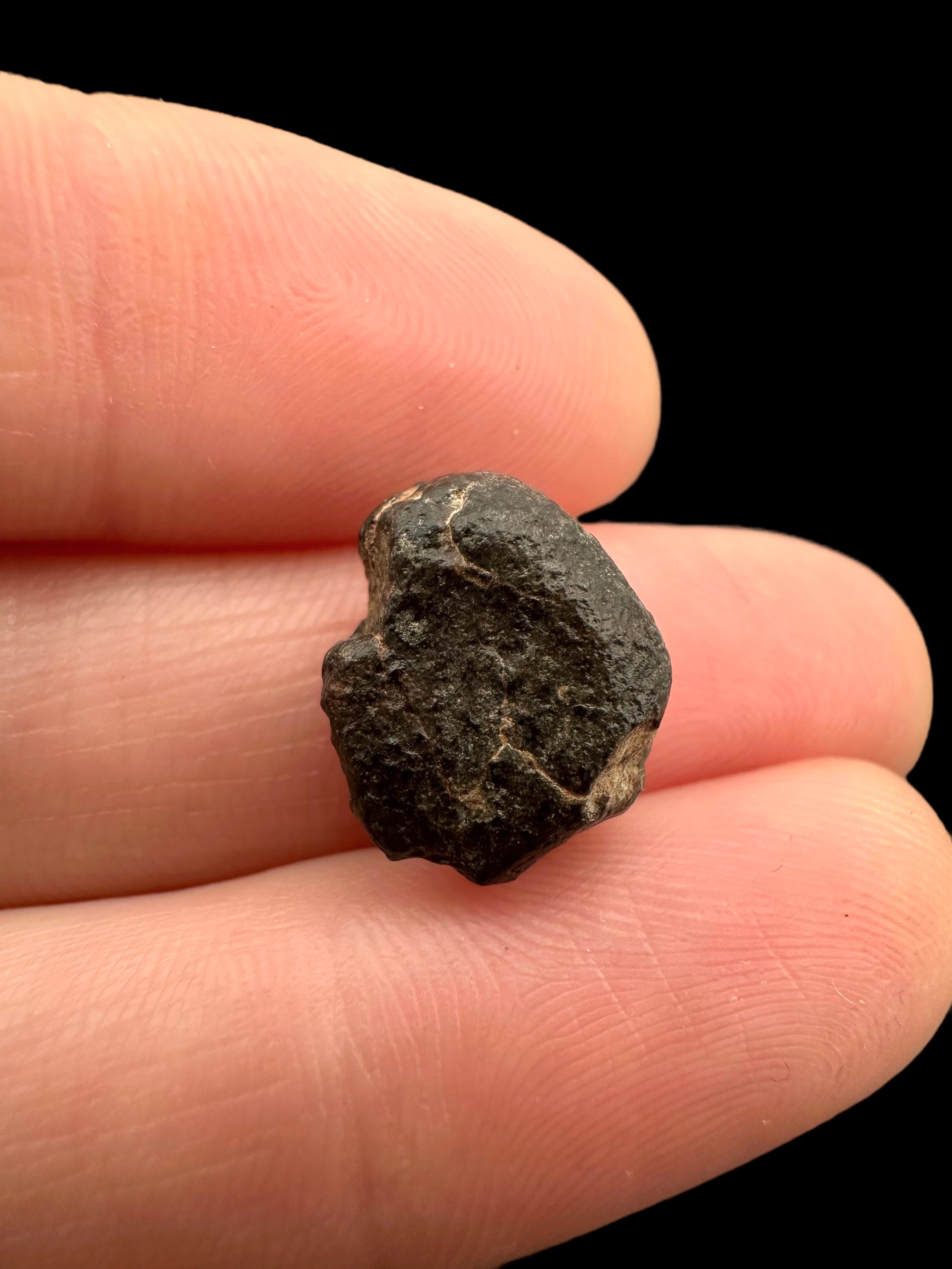 Meteorite NWA 869 – 1,9g – Northwest Africa - MENW31