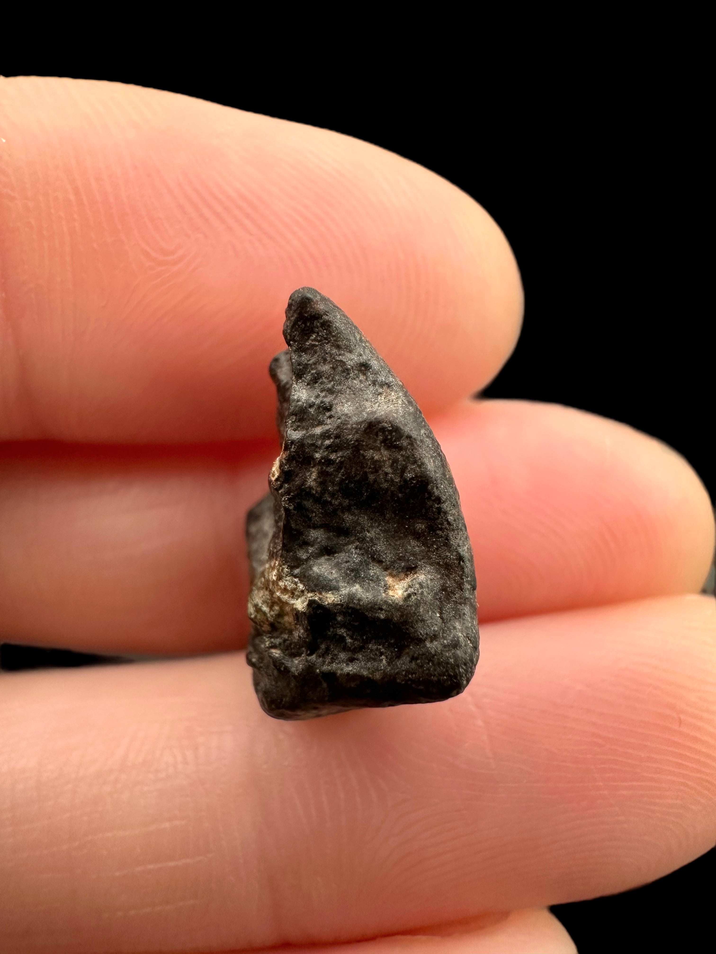 Meteorite NWA 869 – 2,4g – Northwest Africa - MENW33