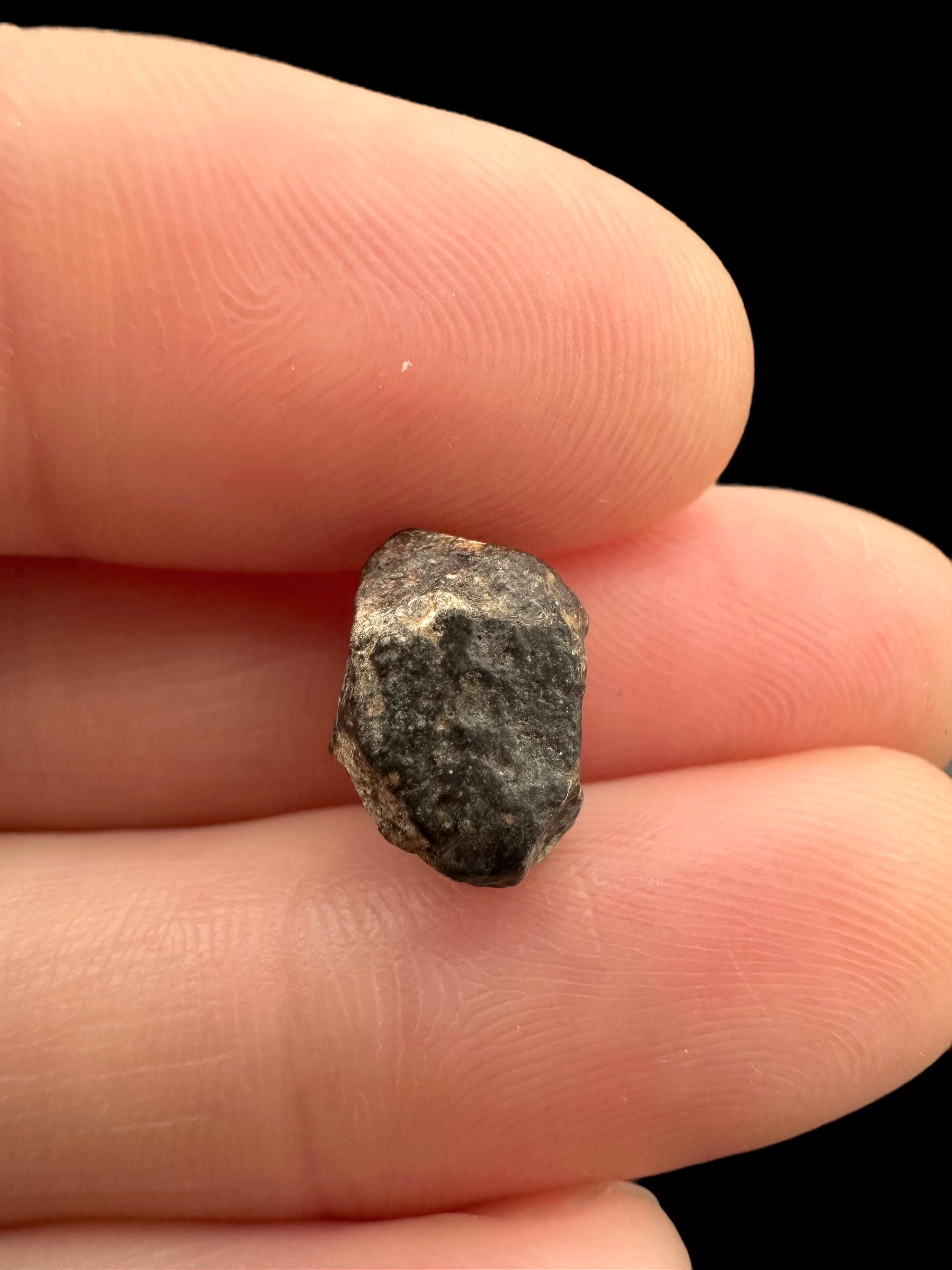 Meteorite NWA 869 – 1,1g – Northwest Africa - MENW34