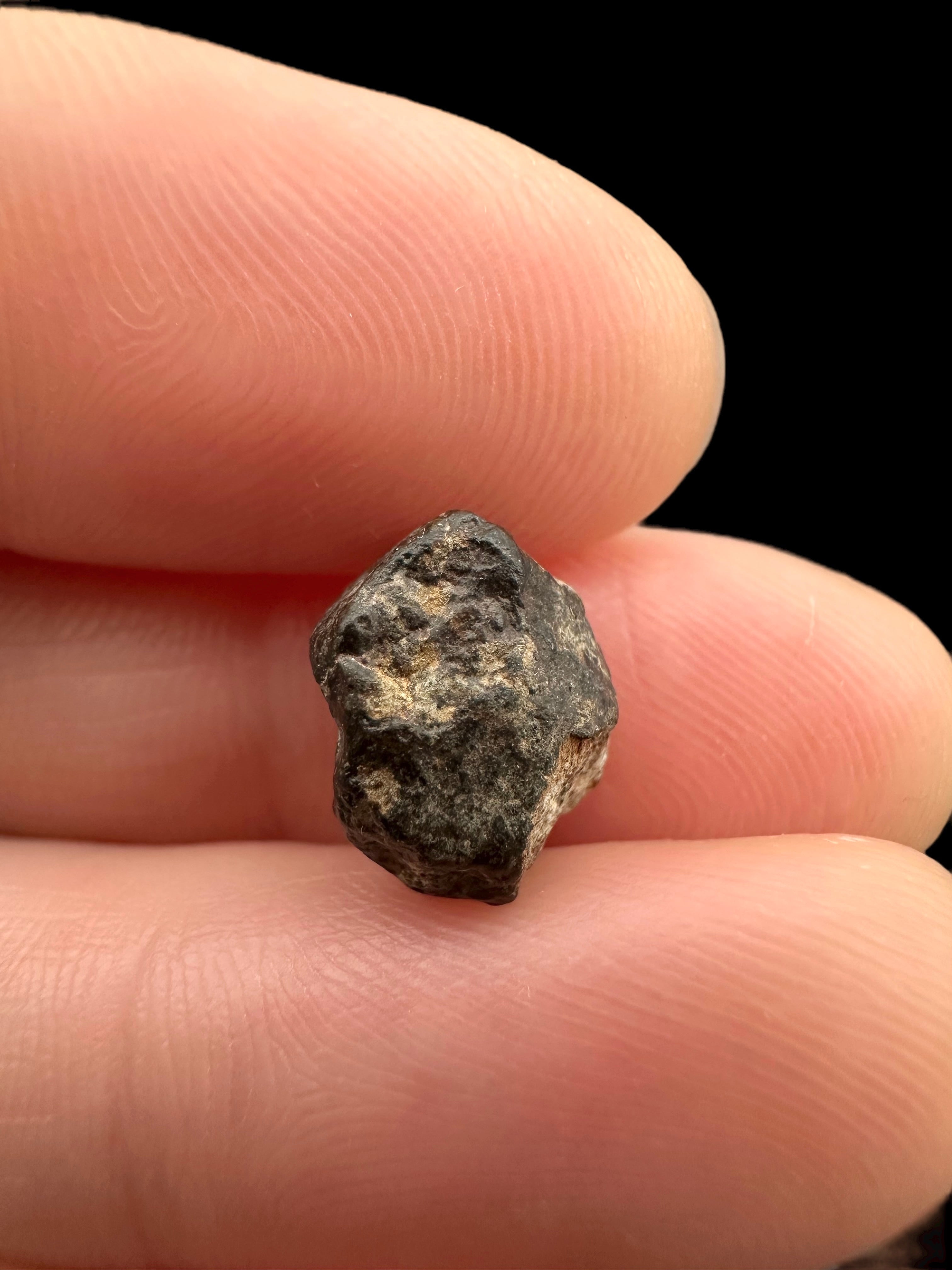 Meteorite NWA 869 – 1,1g – Northwest Africa - MENW34