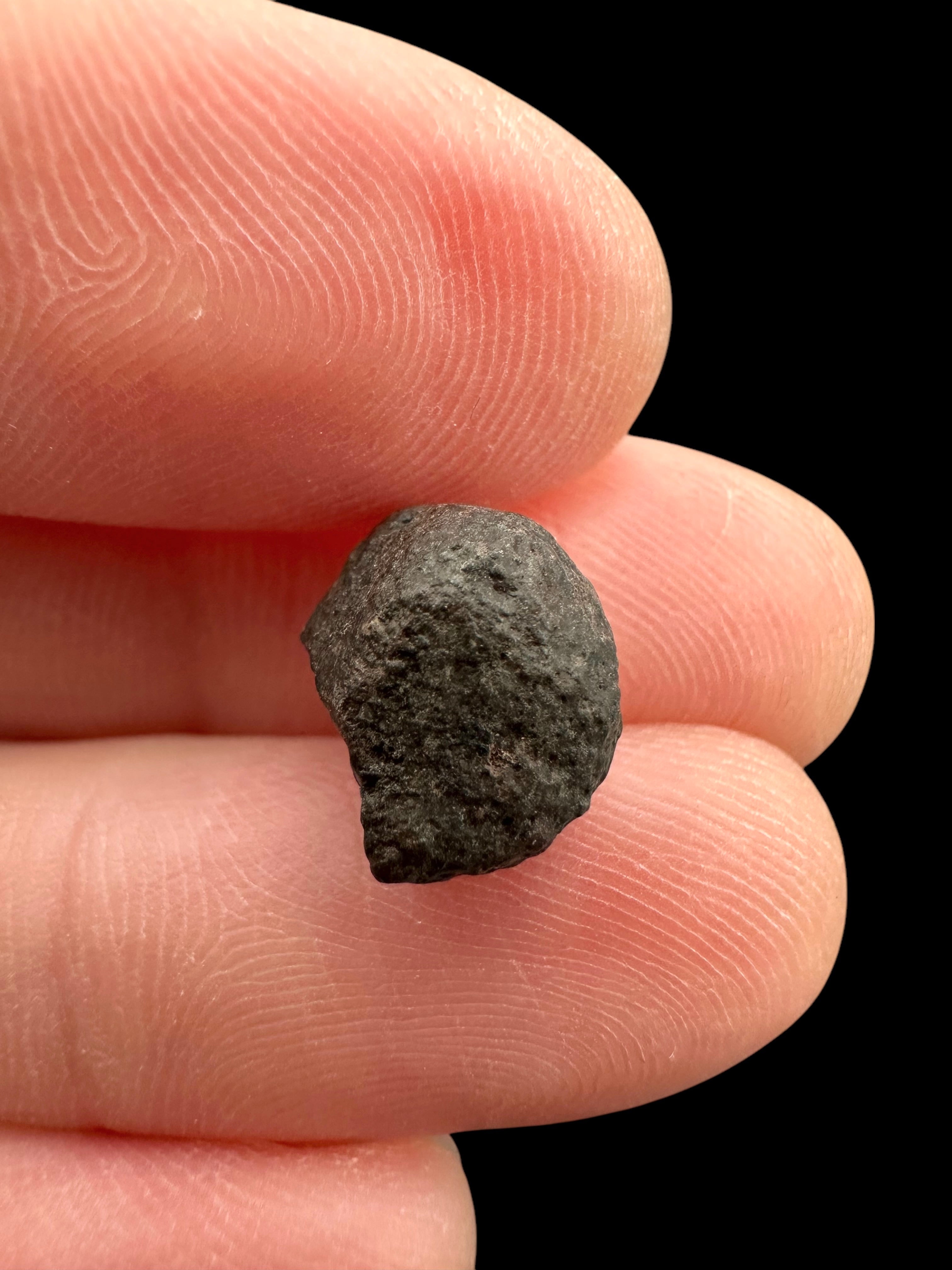 Meteorite NWA 869 – 1g – Northwest Africa - MENW35