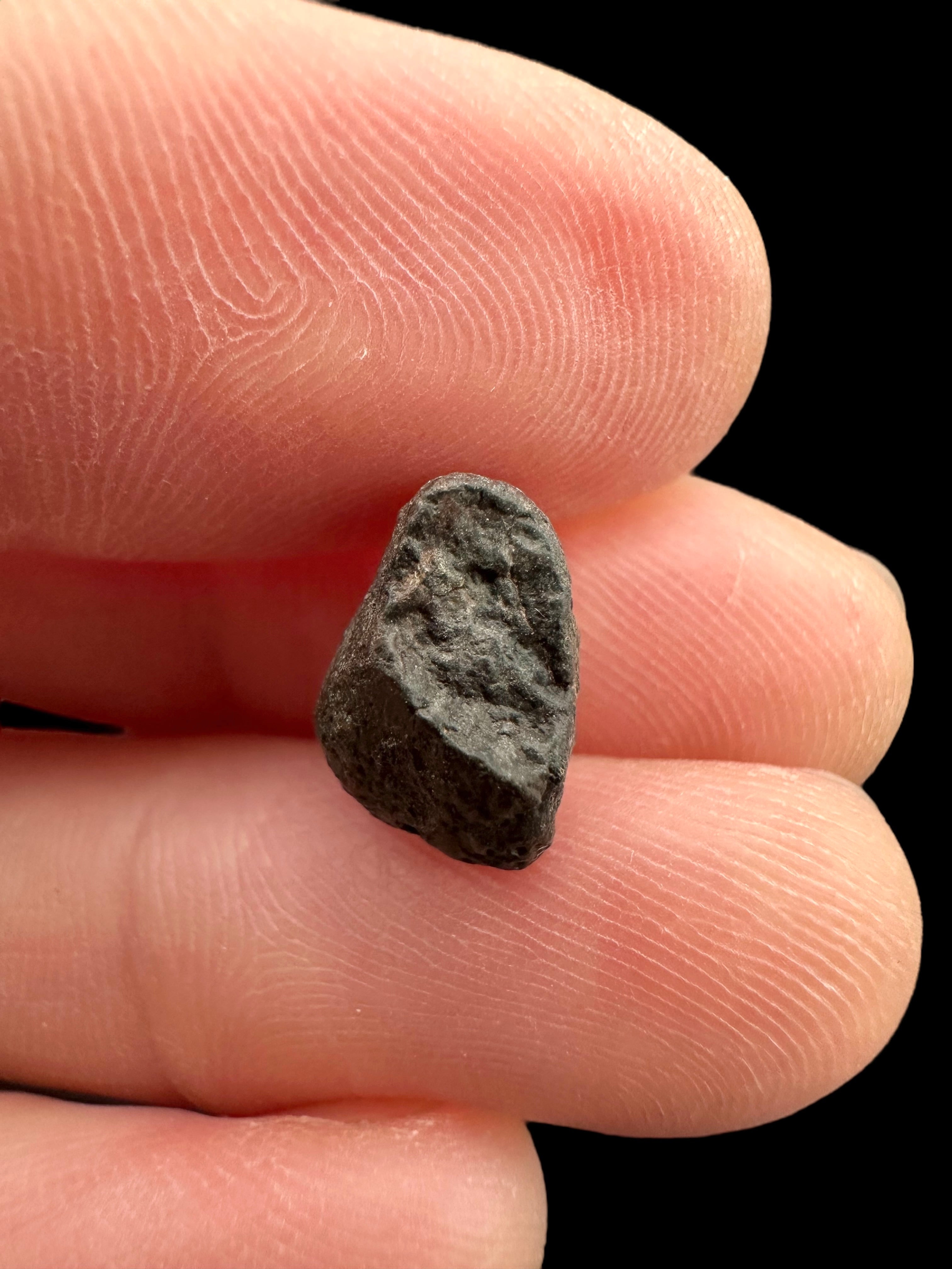 Meteorite NWA 869 – 1g – Northwest Africa - MENW35