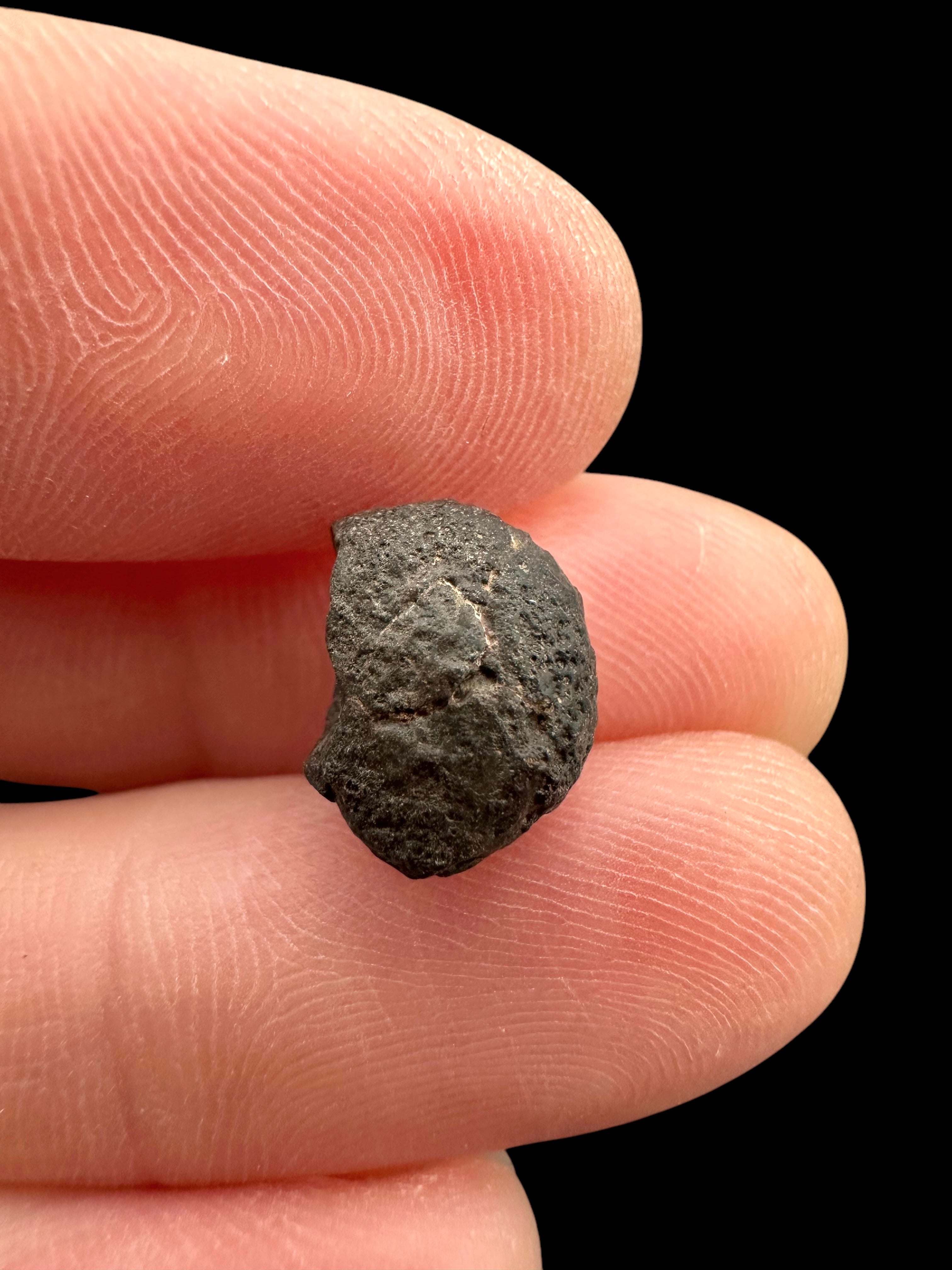 Meteorite NWA 869 – 1g – Northwest Africa - MENW35