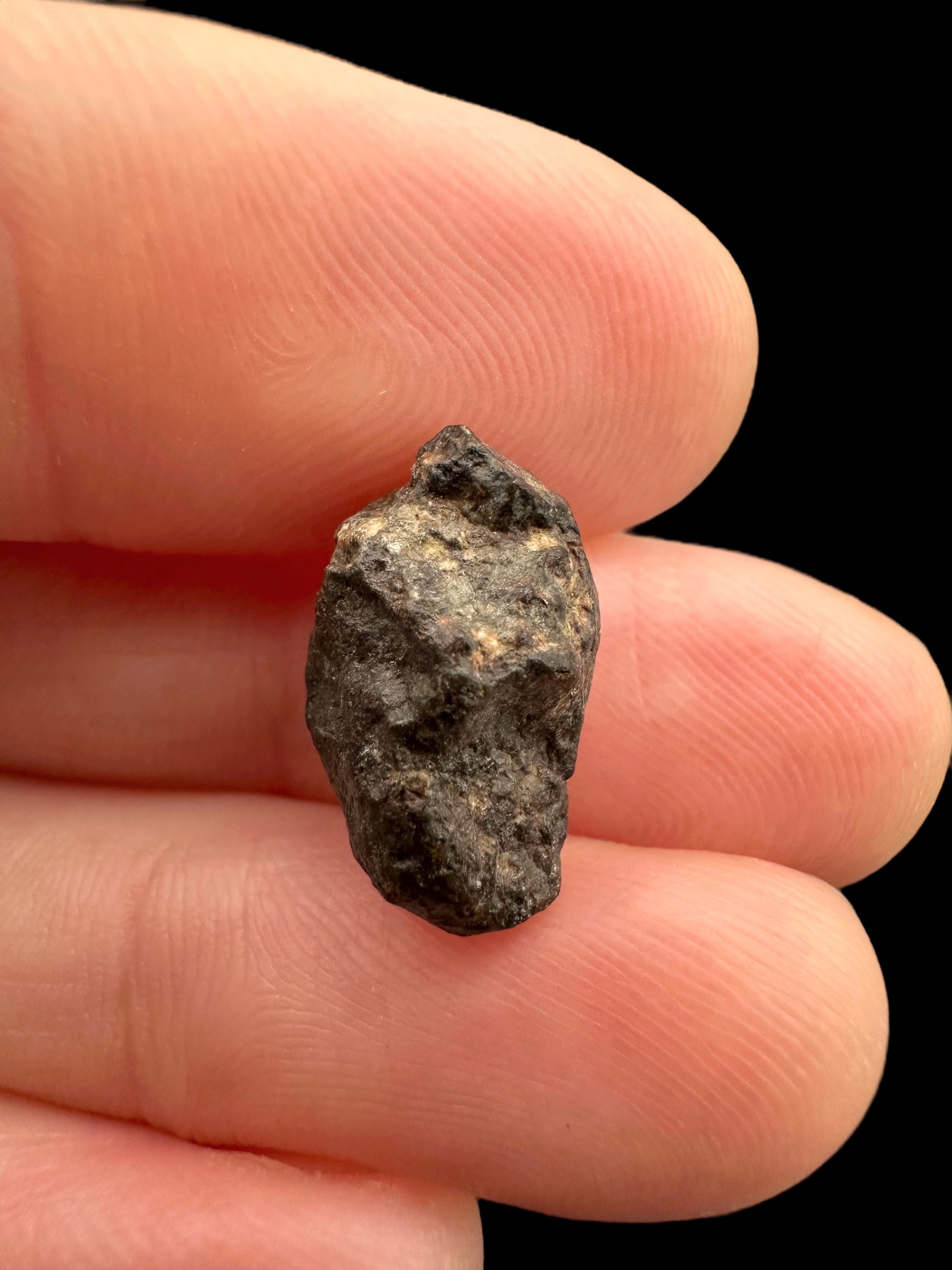Meteorite NWA 869 – 1,3g – Northwest Africa - MENW36