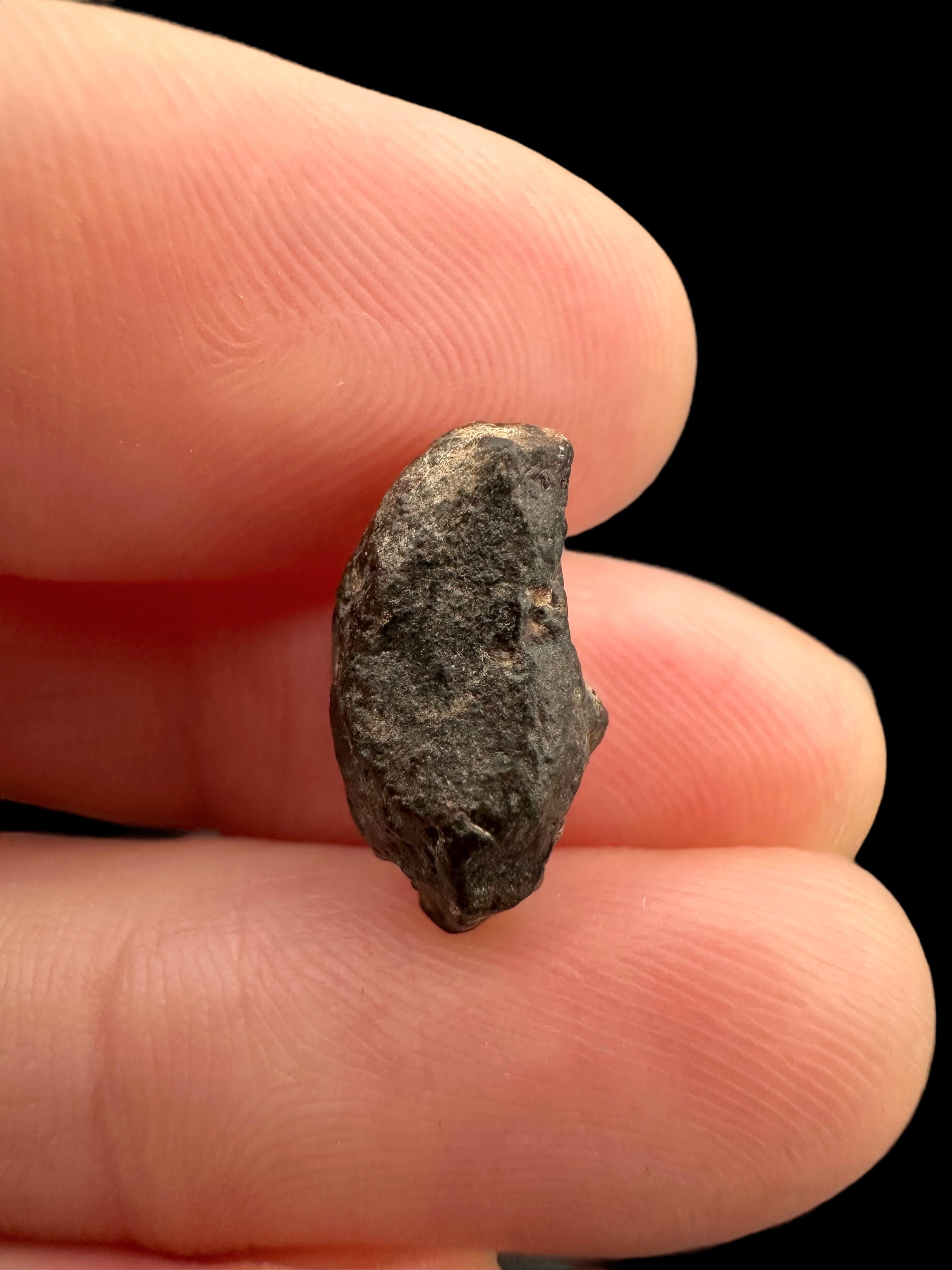 Meteorite NWA 869 – 1,3g – Northwest Africa - MENW36