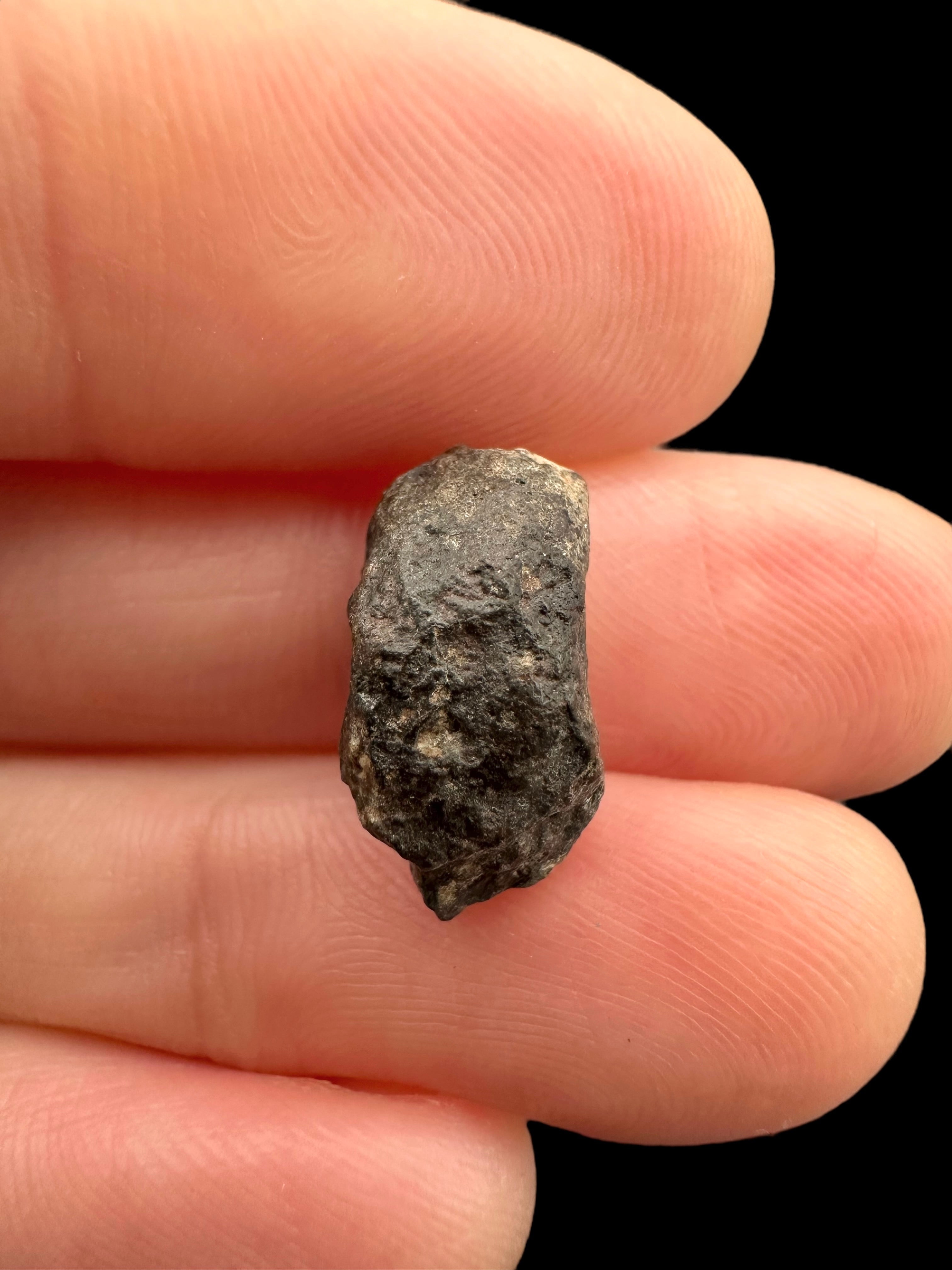 Meteorite NWA 869 – 1,3g – Northwest Africa - MENW36