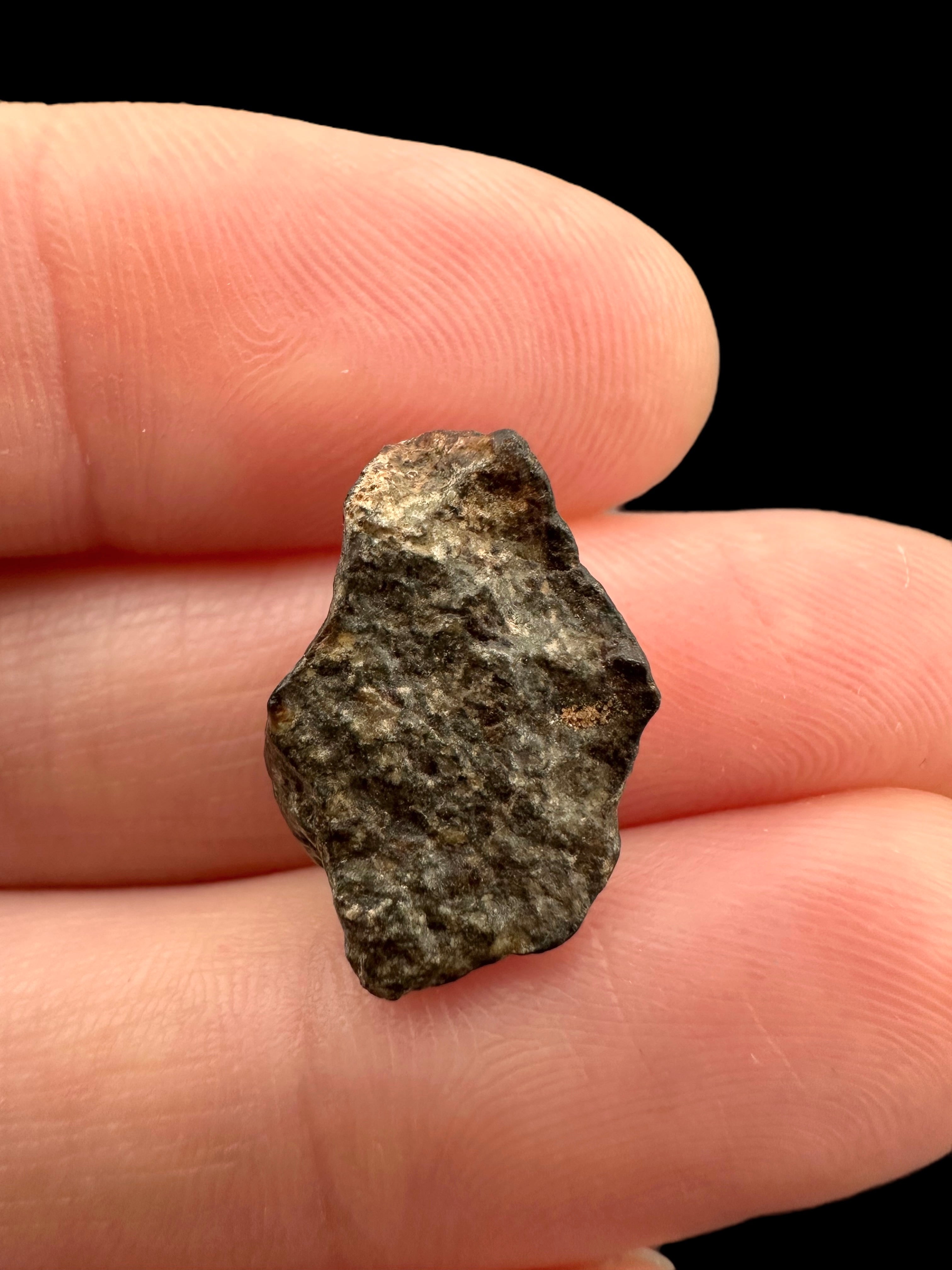 Meteorite NWA 869 – 1,7g – Northwest Africa - MENW37