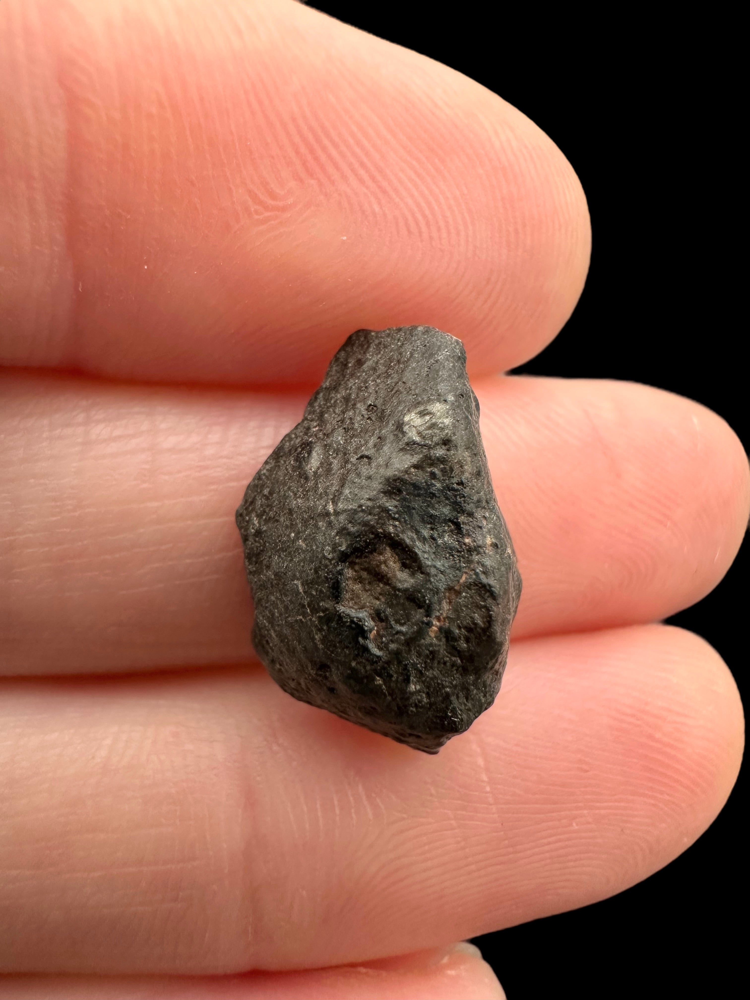 Meteorite NWA 869 – 1,7g – Northwest Africa - MENW37