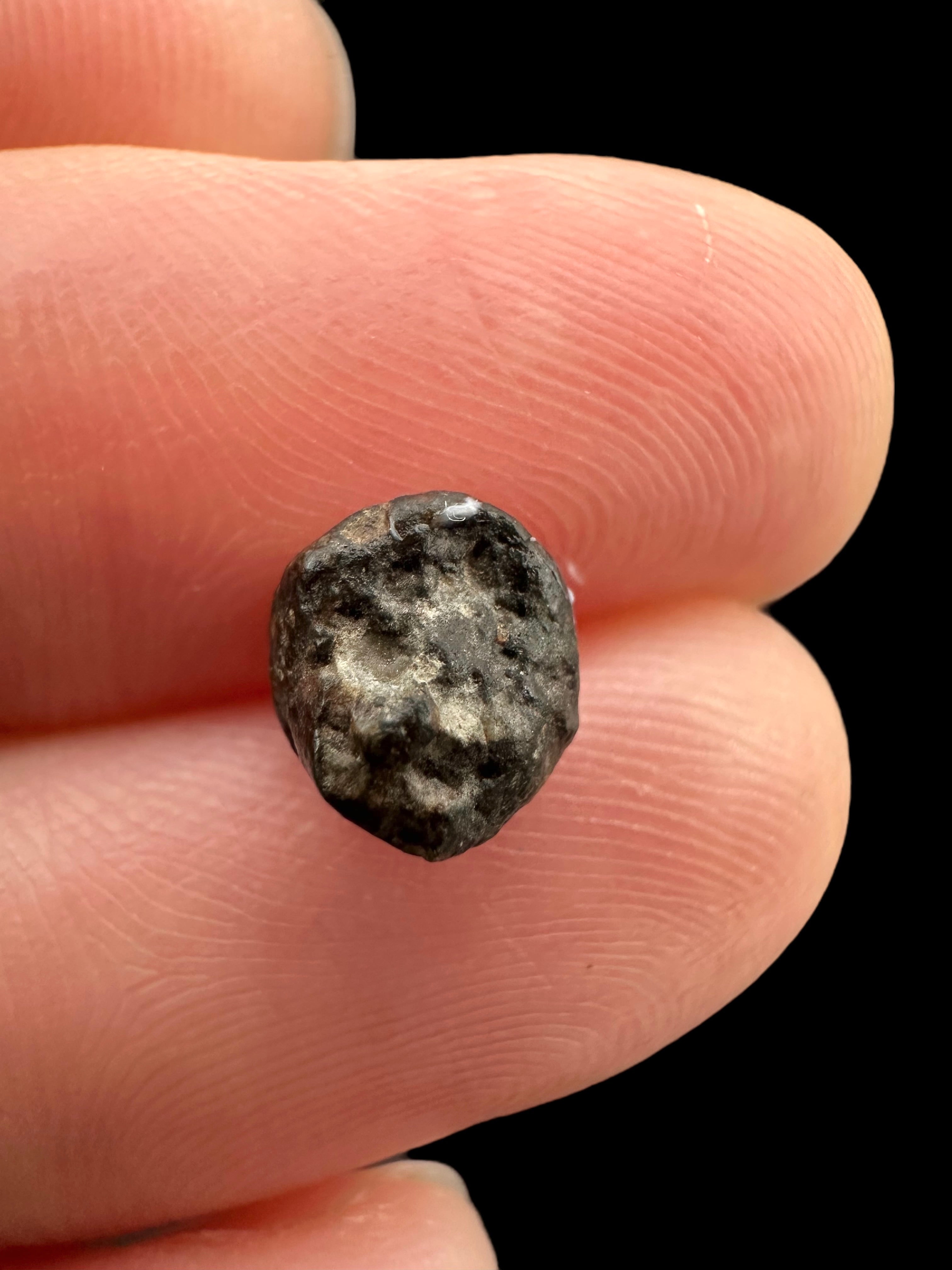 Meteorite NWA 869 – 0,3g – Northwest Africa - MENW38