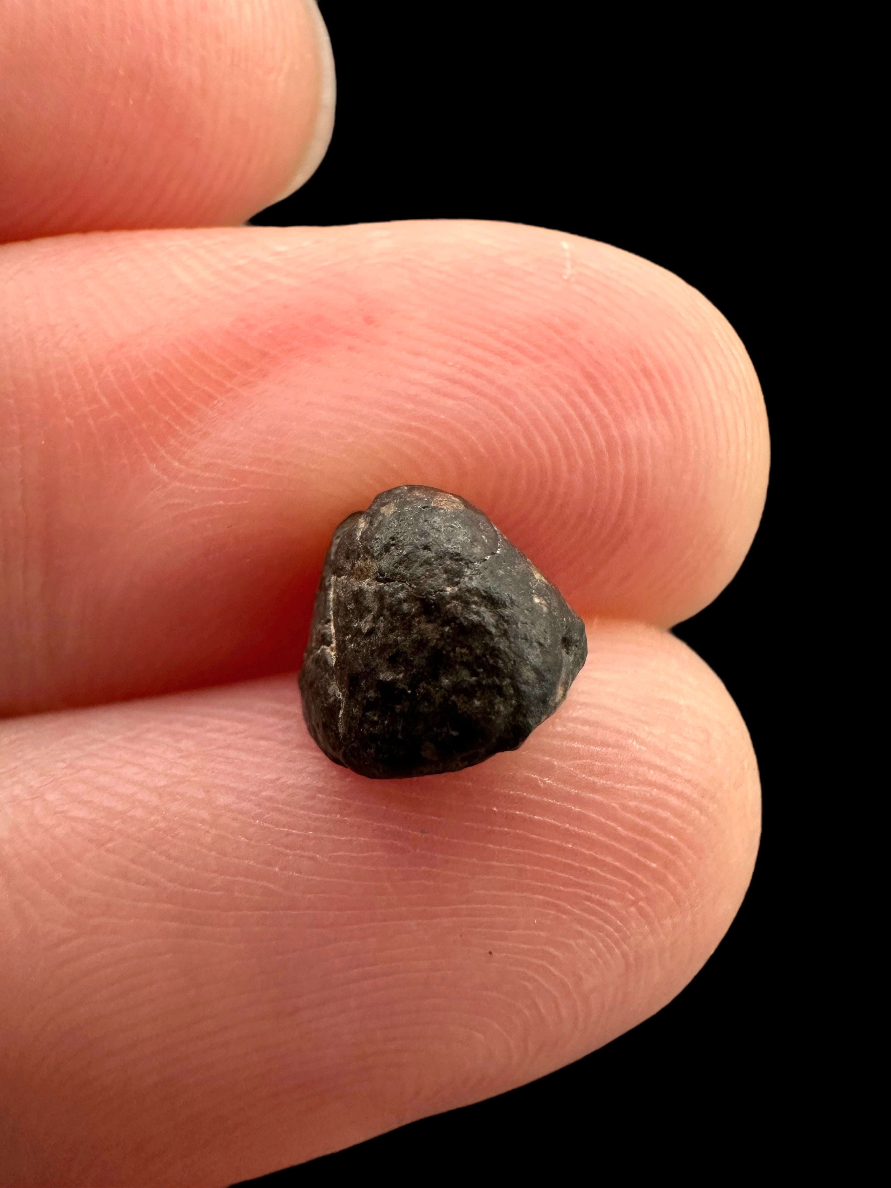 Meteorite NWA 869 – 0,3g – Northwest Africa - MENW38