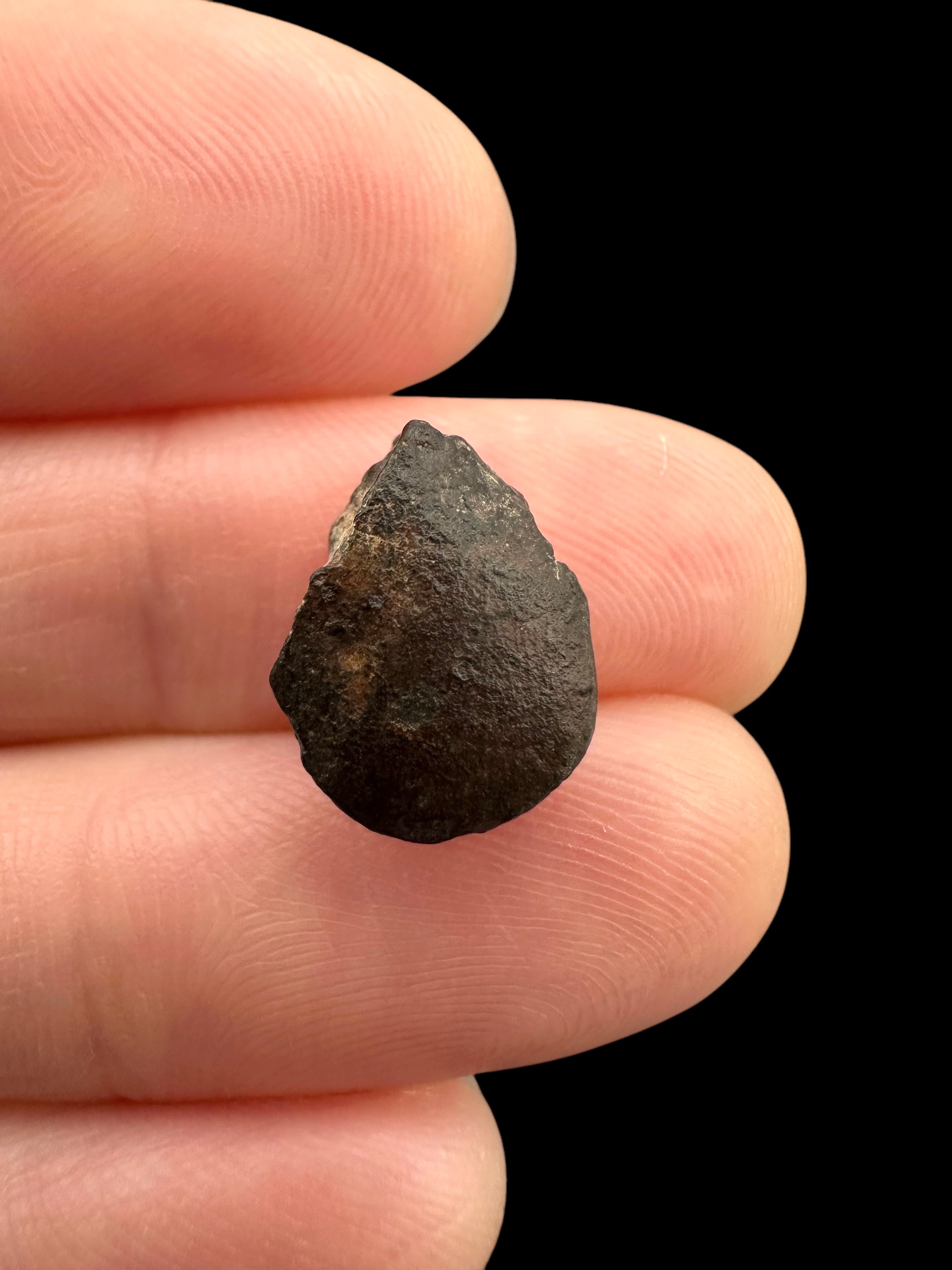 Meteorite NWA 869 – 1g – Northwest Africa - MENW39