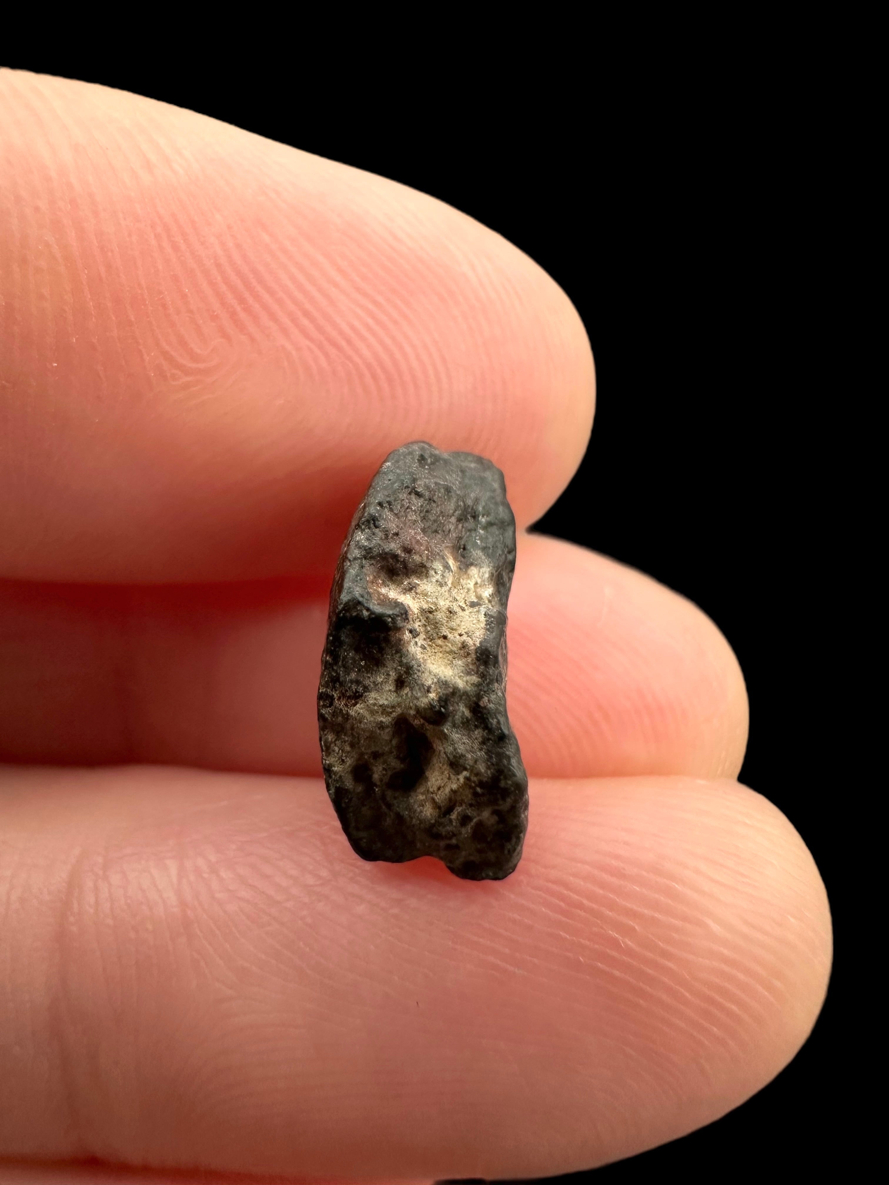 Meteorite NWA 869 – 1g – Northwest Africa - MENW39