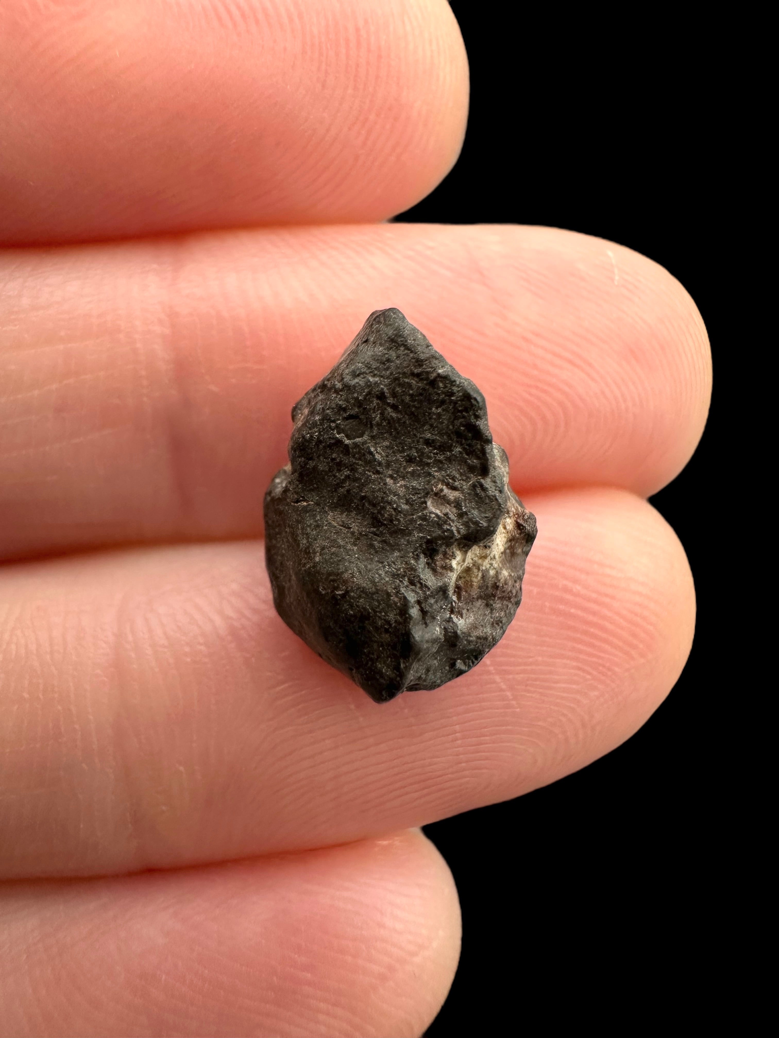 Meteorite NWA 869 – 1g – Northwest Africa - MENW39