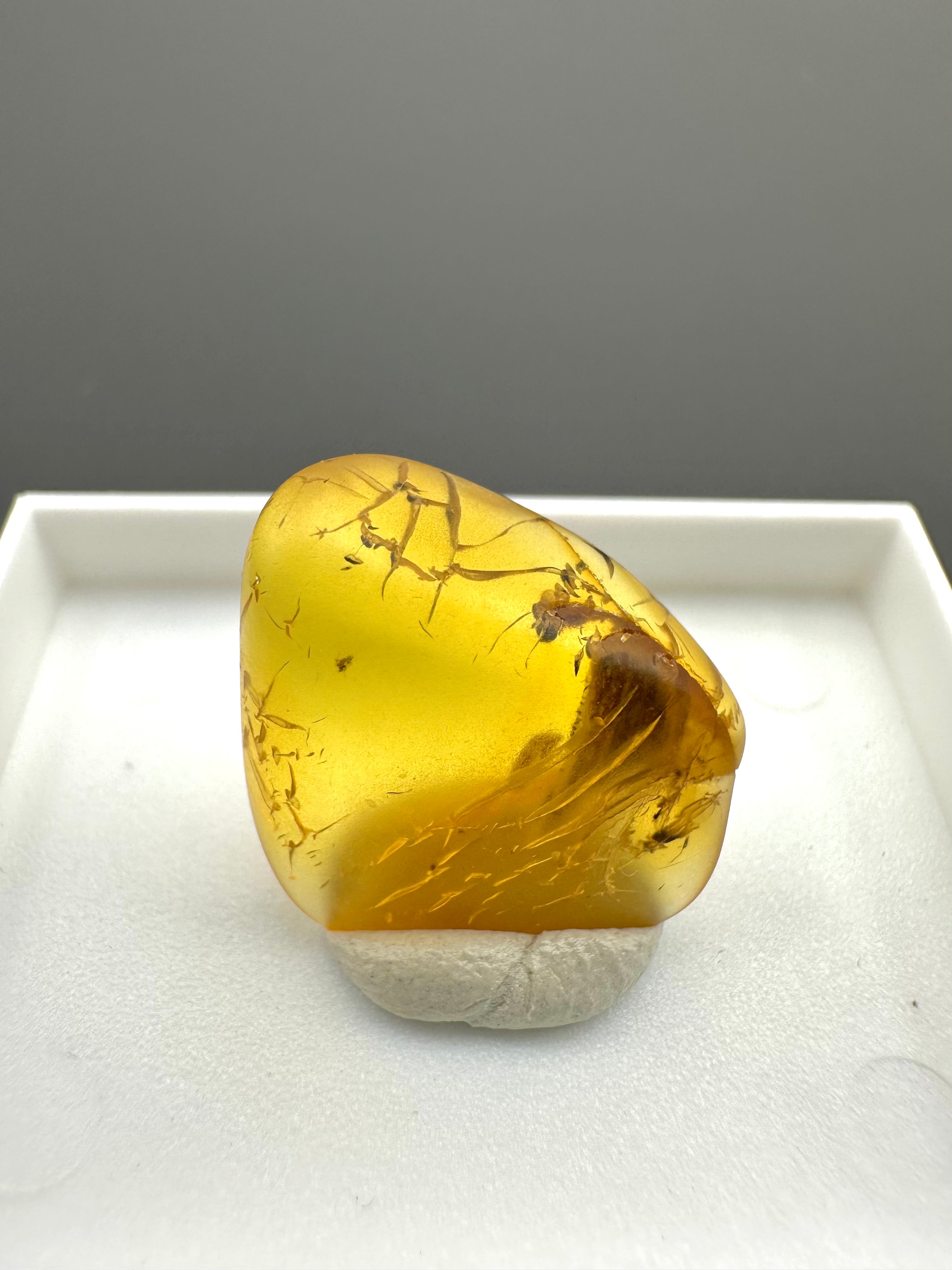 Amber – Gdańsk, Poland - MVK547