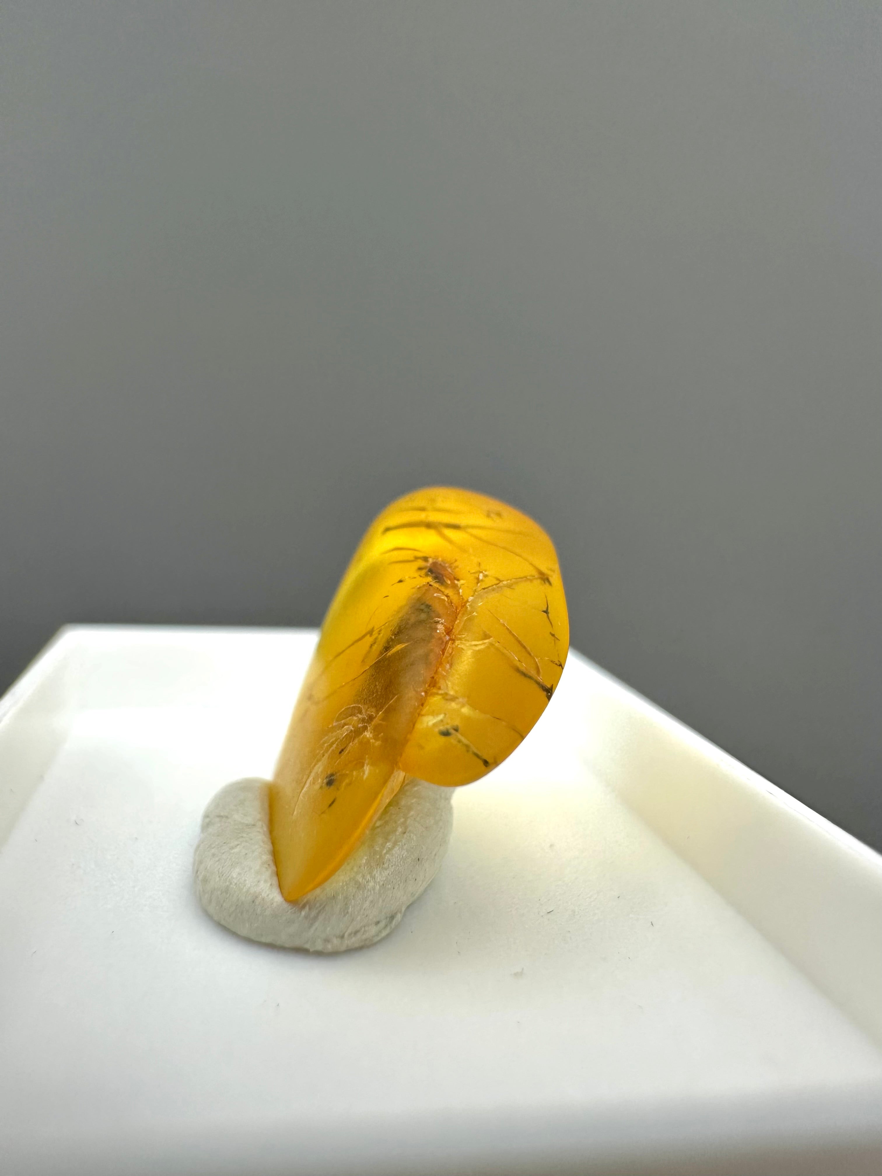 Amber – Gdańsk, Poland - MVK547