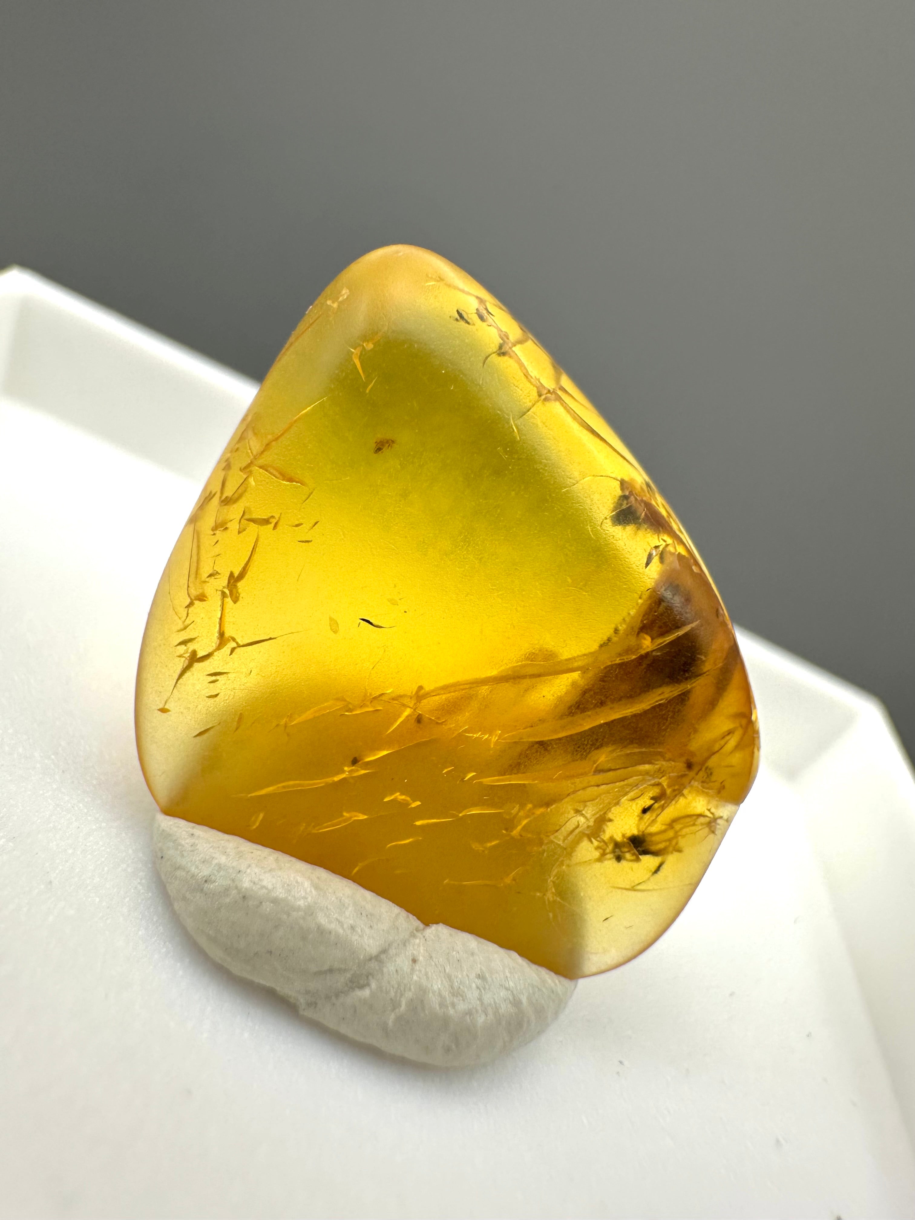 Amber – Gdańsk, Poland - MVK547