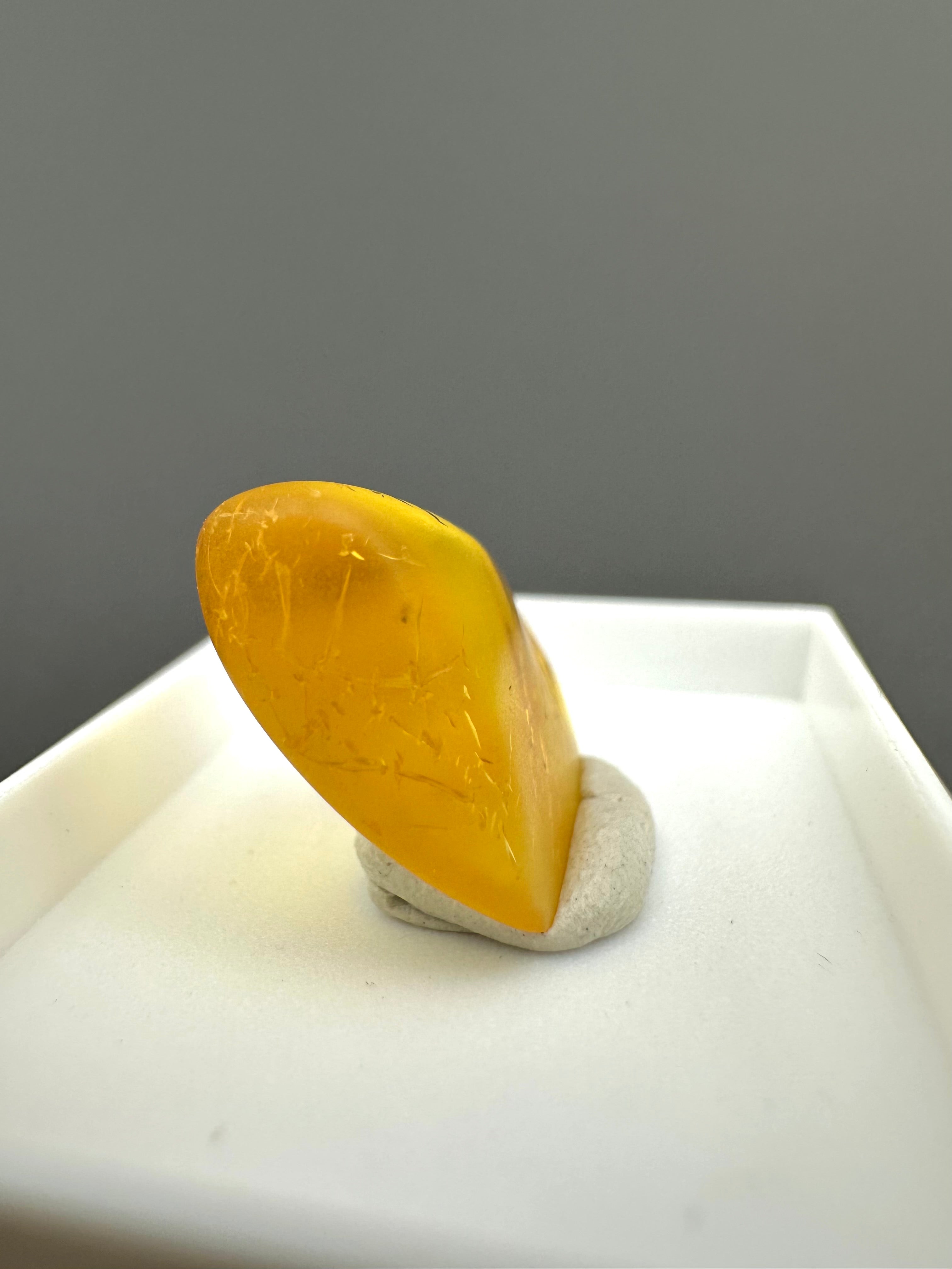Amber – Gdańsk, Poland - MVK547