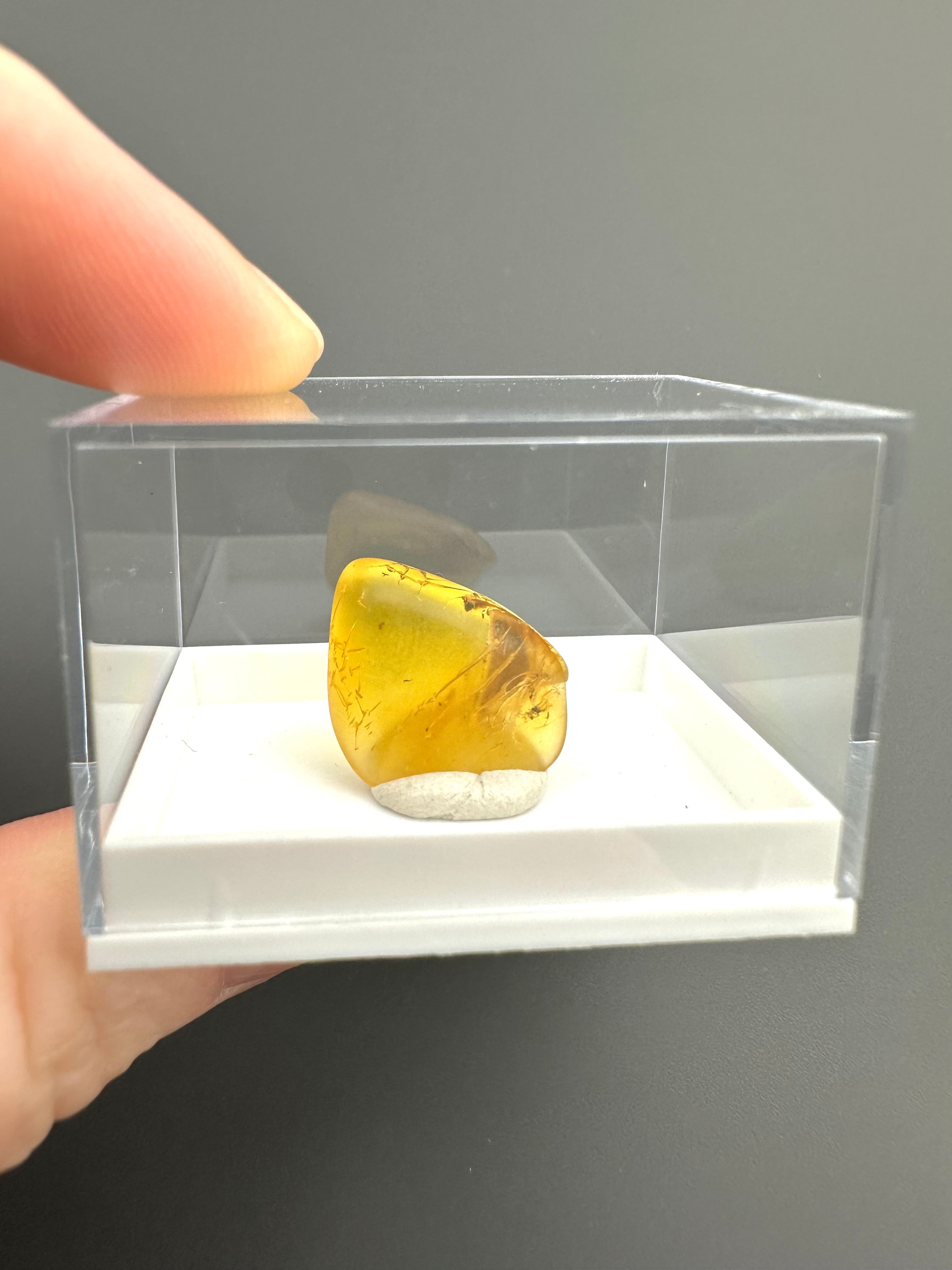 Amber – Gdańsk, Poland