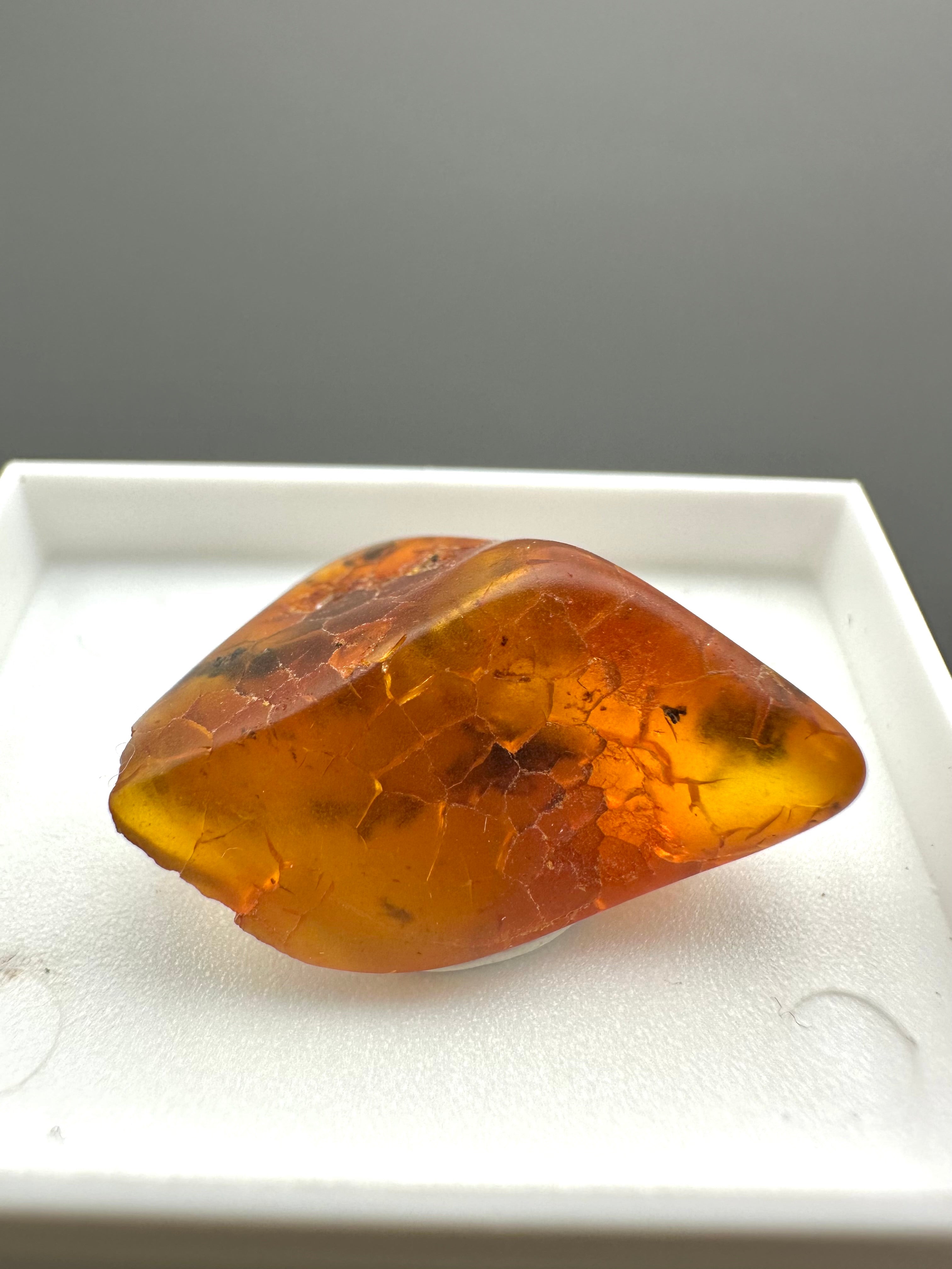 Amber – Gdańsk, Poland - MVK548