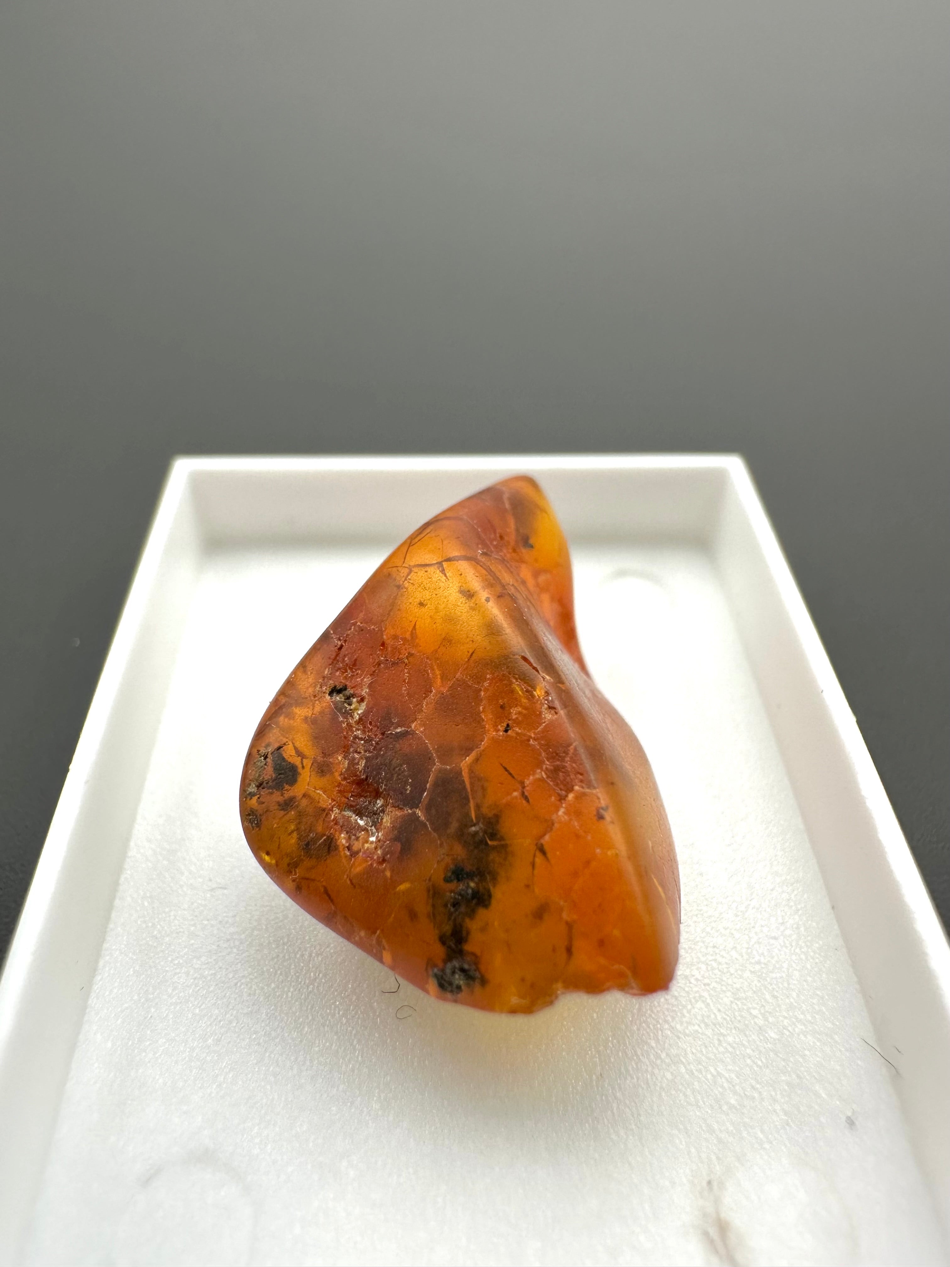 Amber – Gdańsk, Poland - MVK548