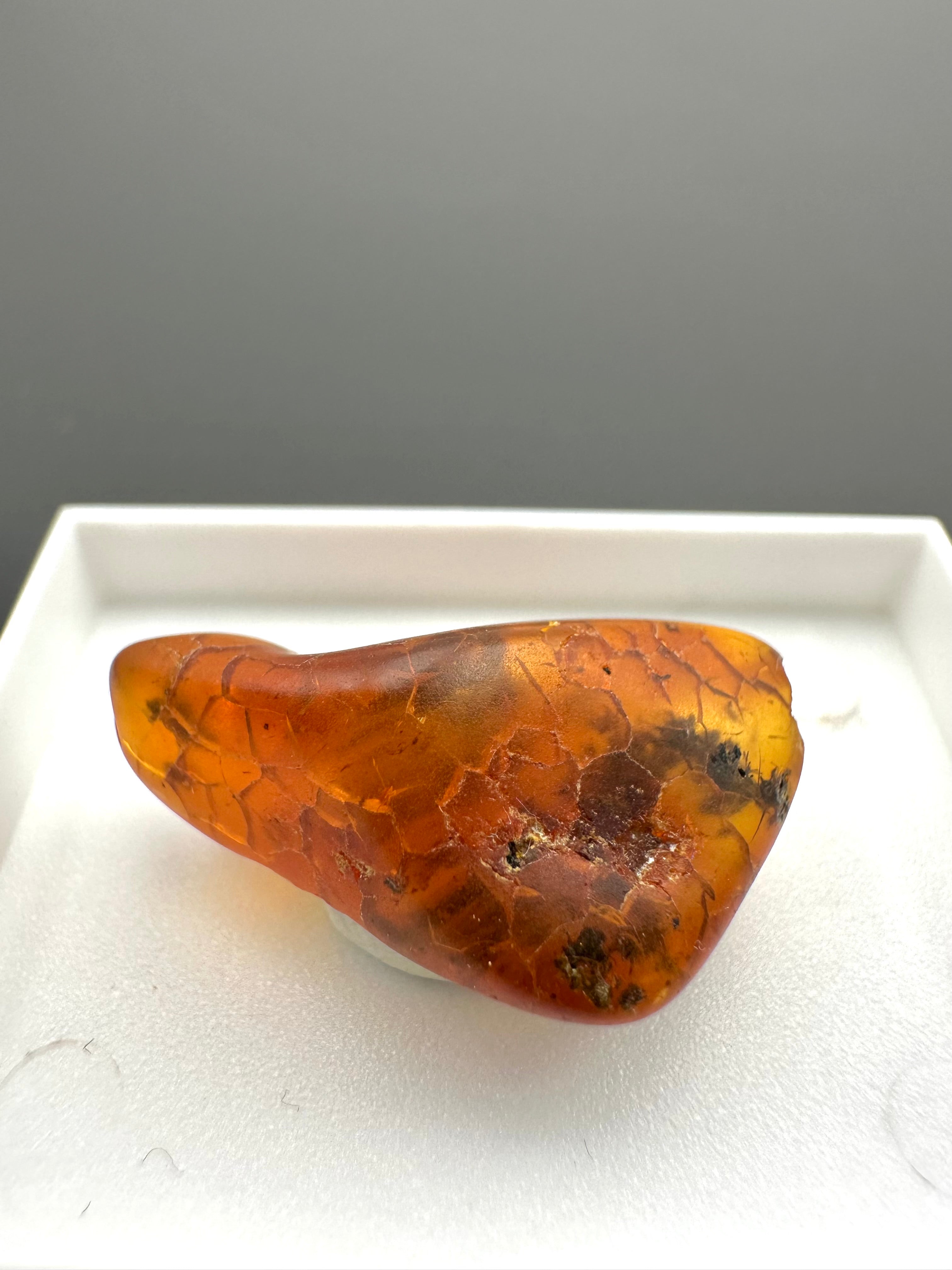 Amber – Gdańsk, Poland - MVK548