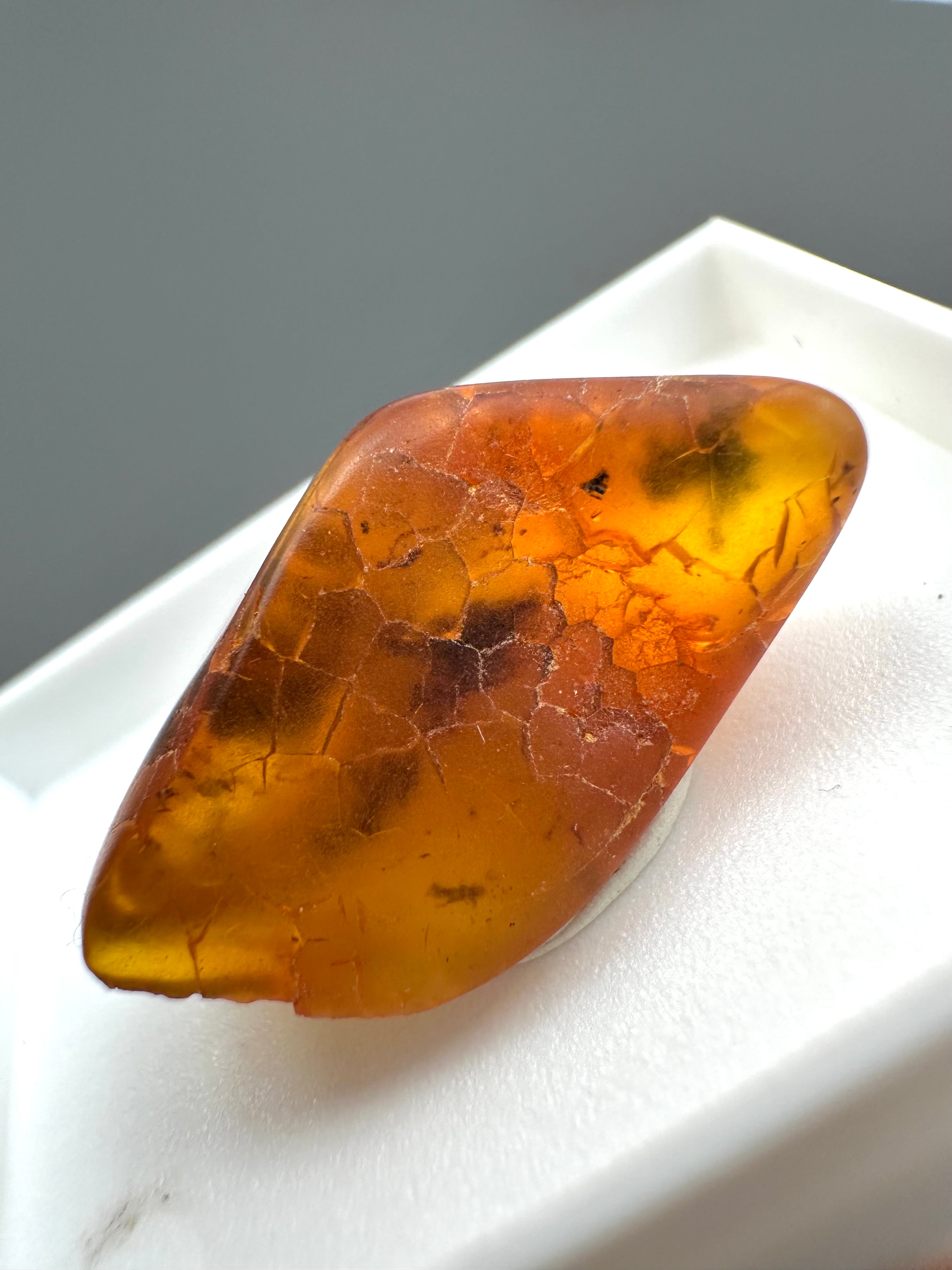 Amber – Gdańsk, Poland - MVK548