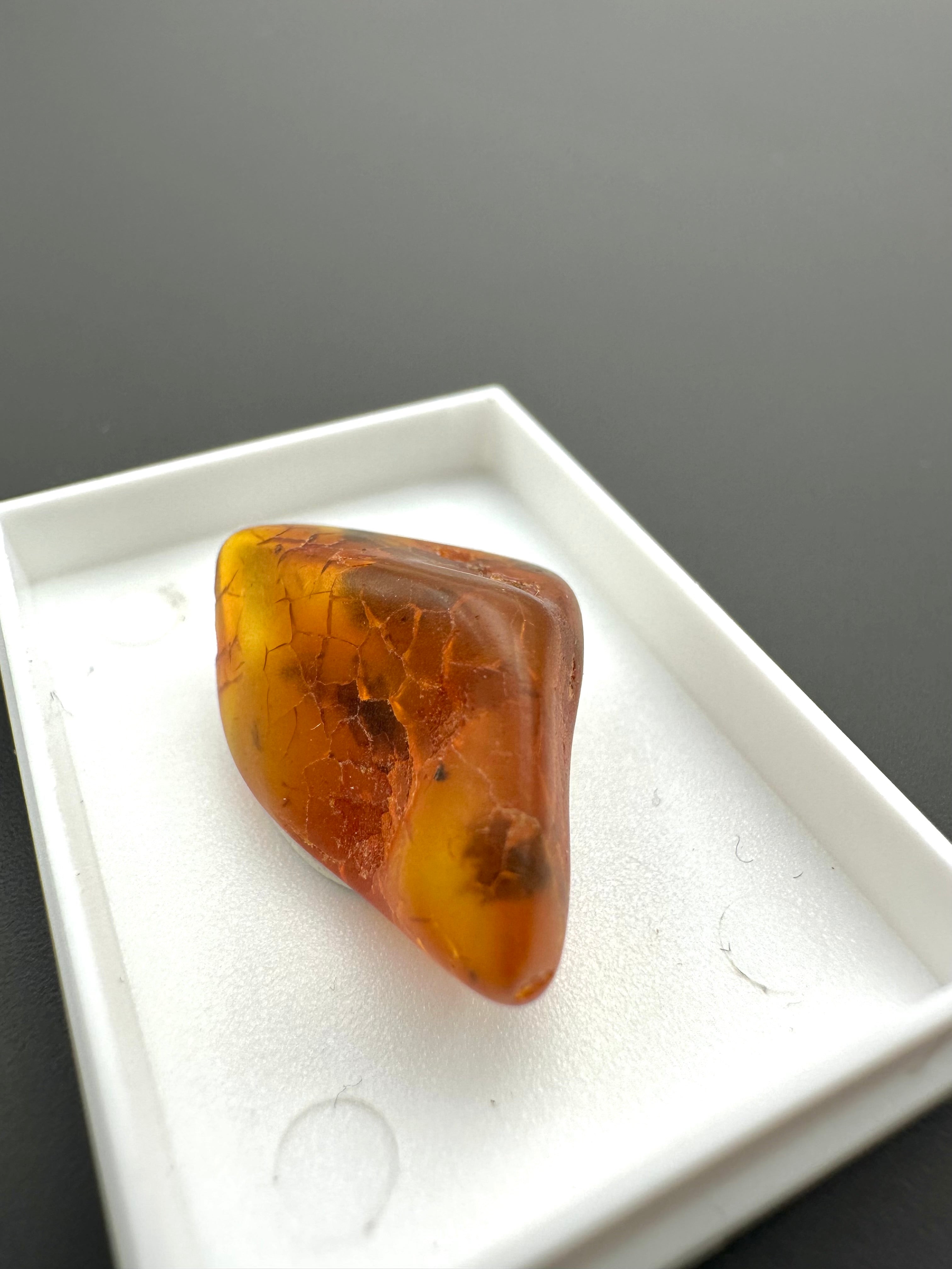 Amber – Gdańsk, Poland - MVK548