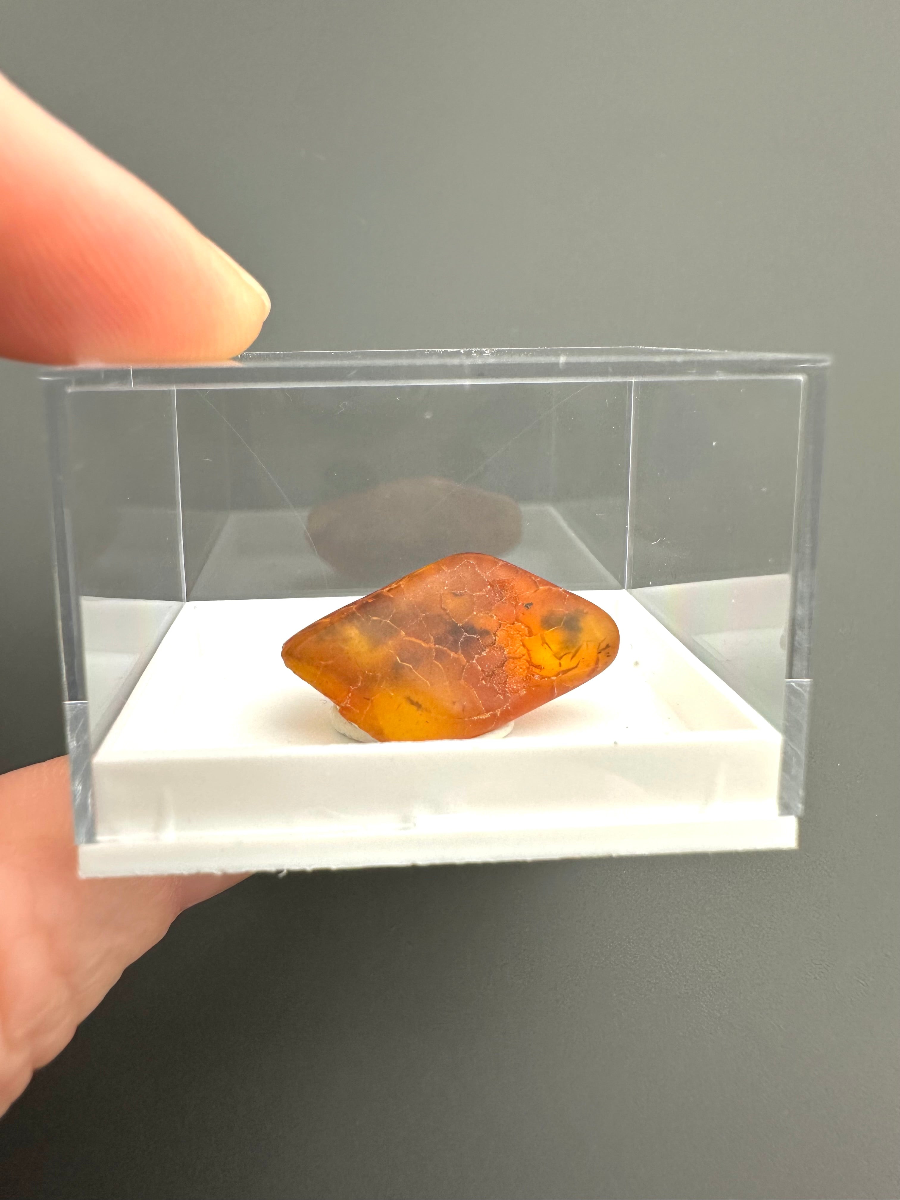 Amber – Gdańsk, Poland