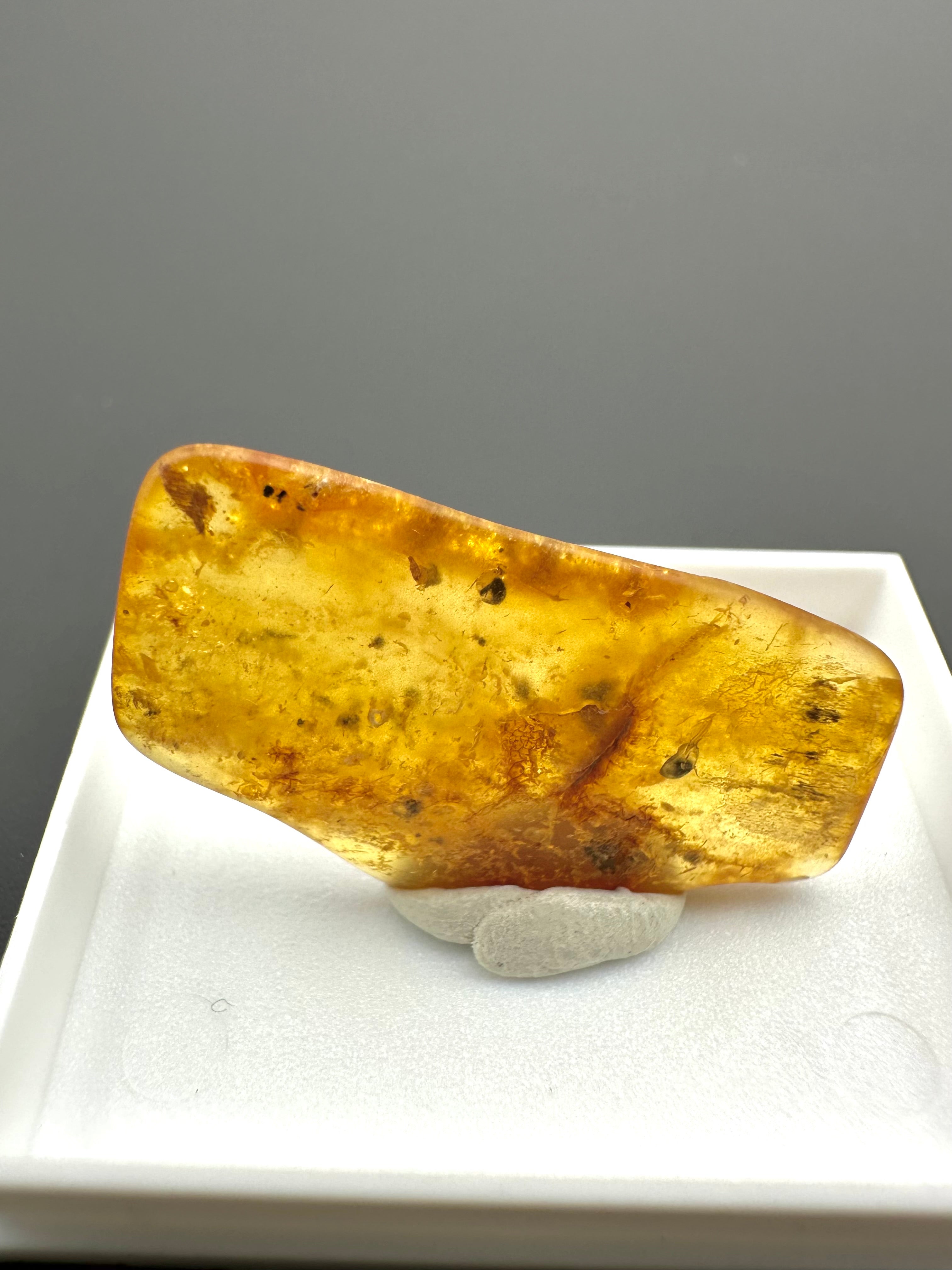 Amber – Gdańsk, Poland - MVK549