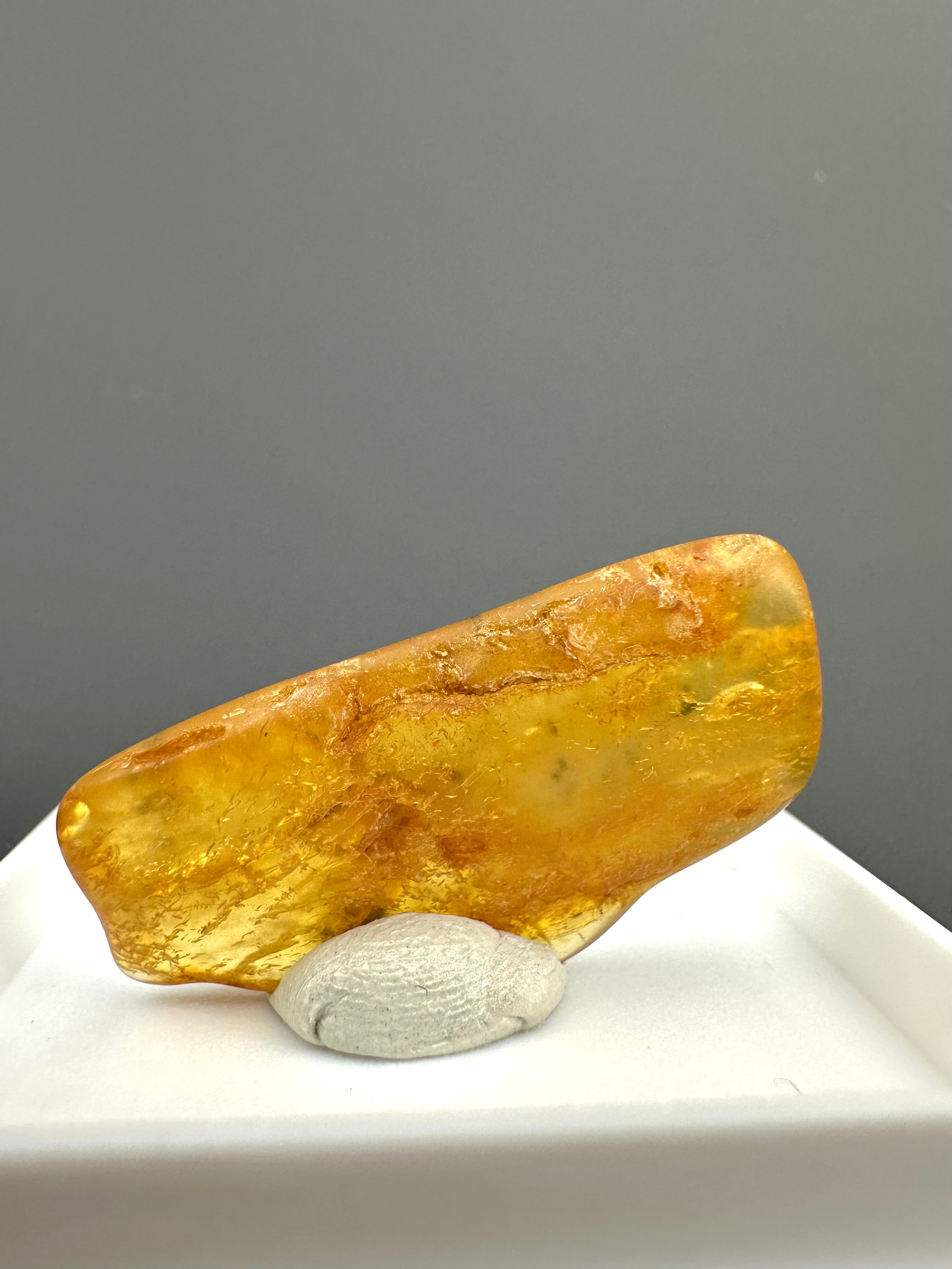 Amber – Gdańsk, Poland - MVK549