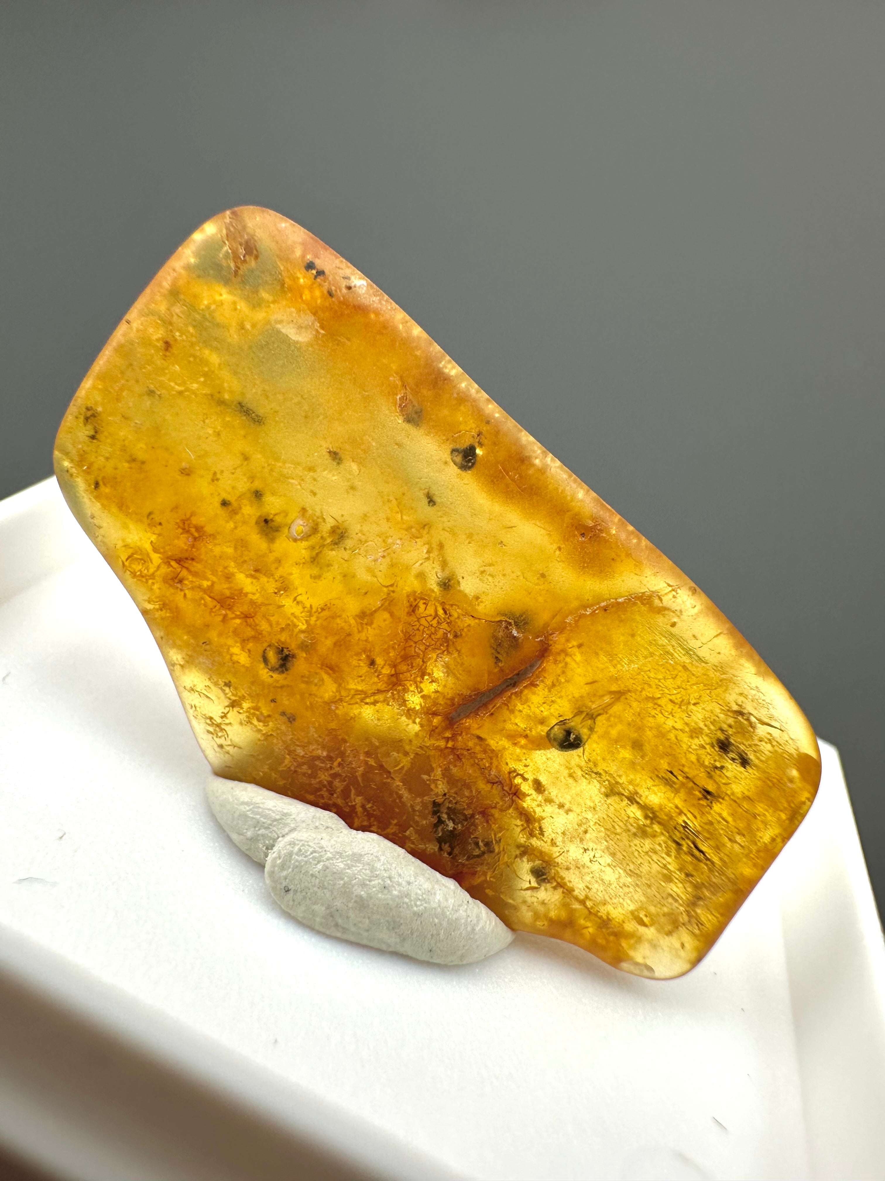 Amber – Gdańsk, Poland - MVK549