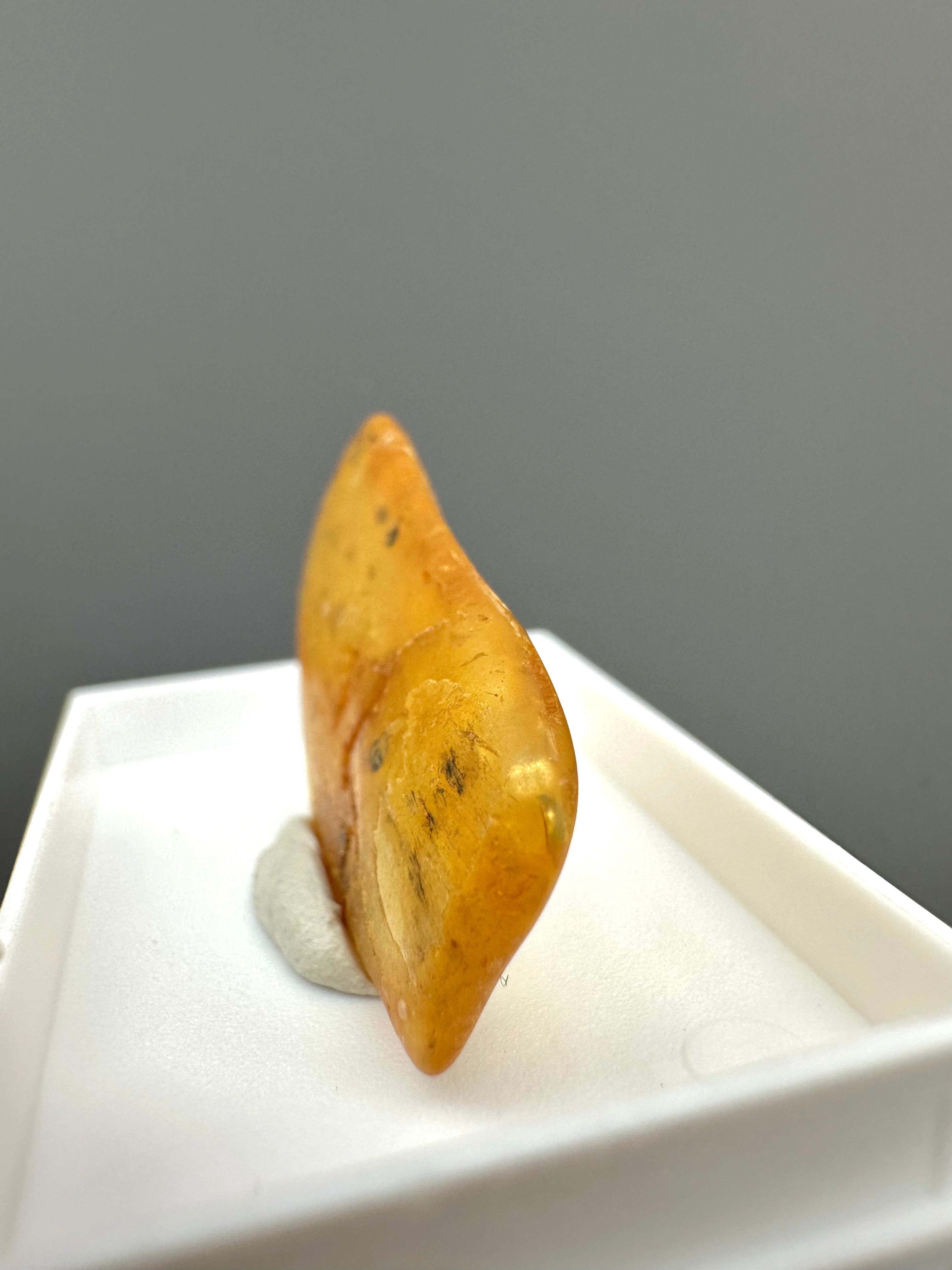 Amber – Gdańsk, Poland - MVK549