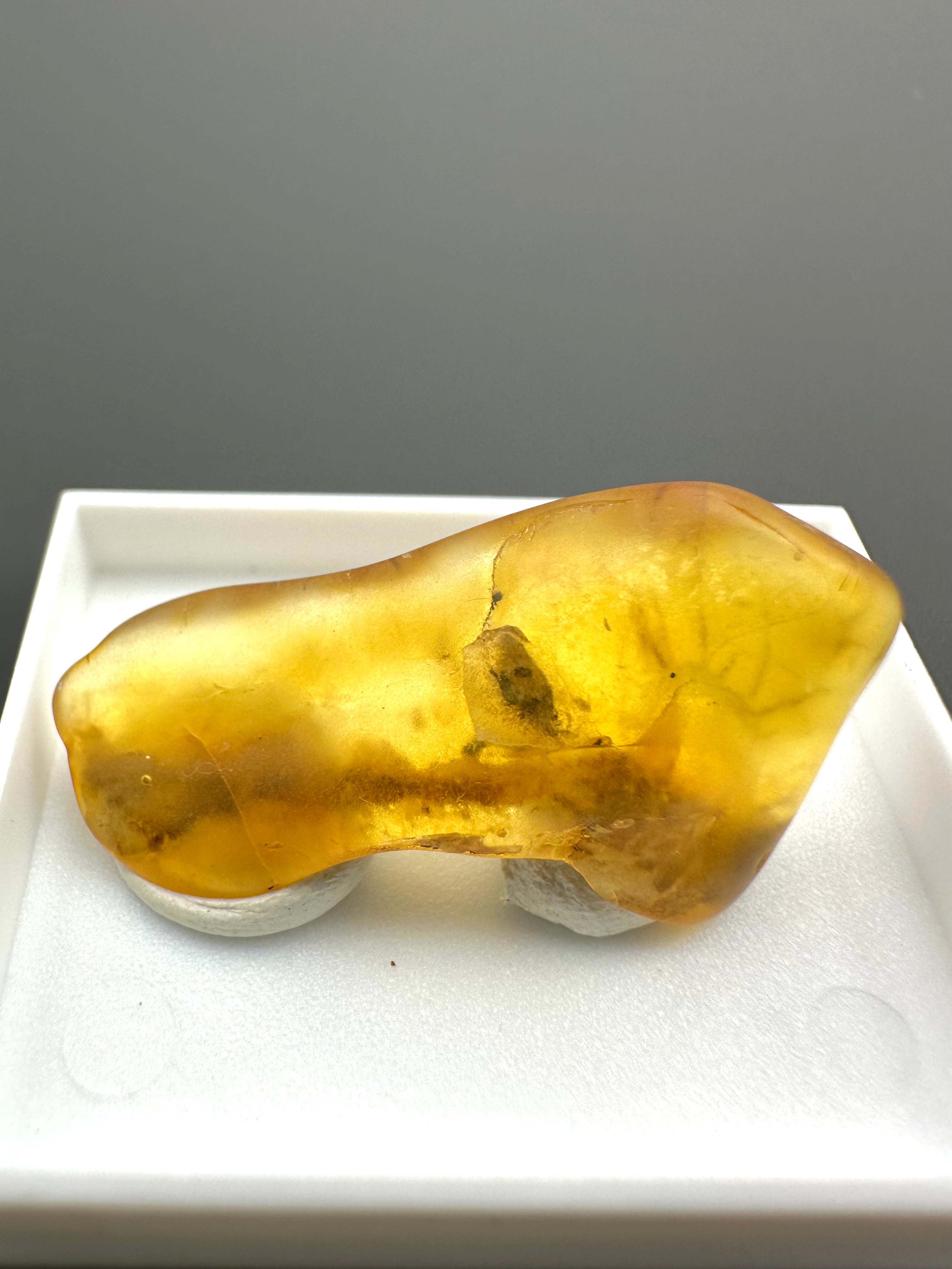 Amber – Gdańsk, Poland - MVK550