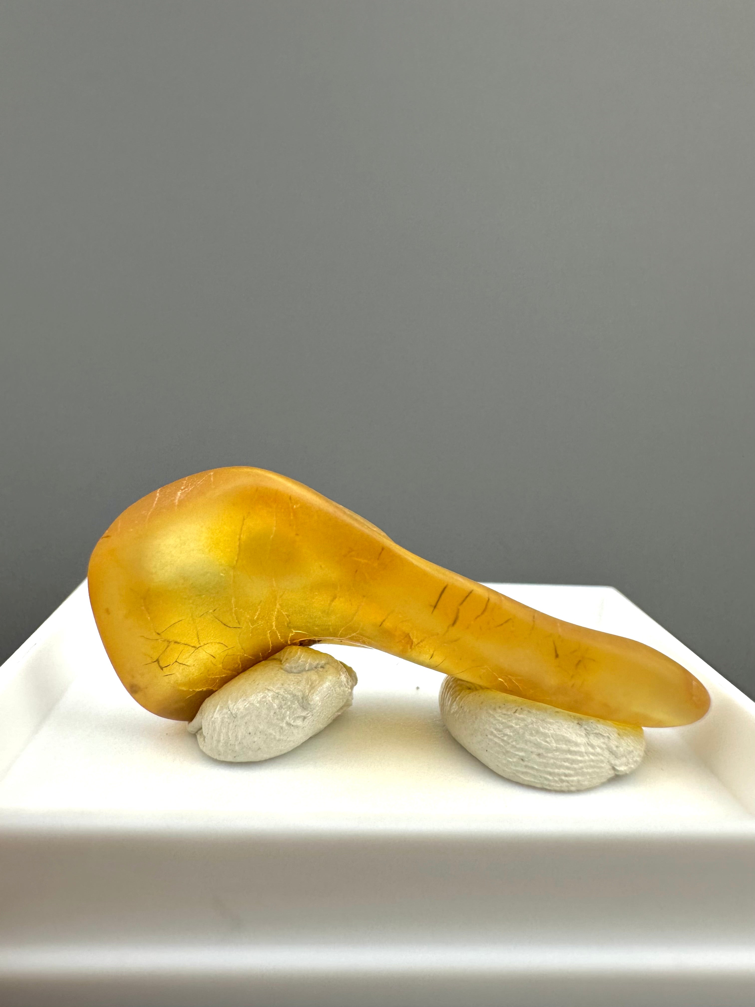 Amber – Gdańsk, Poland - MVK550