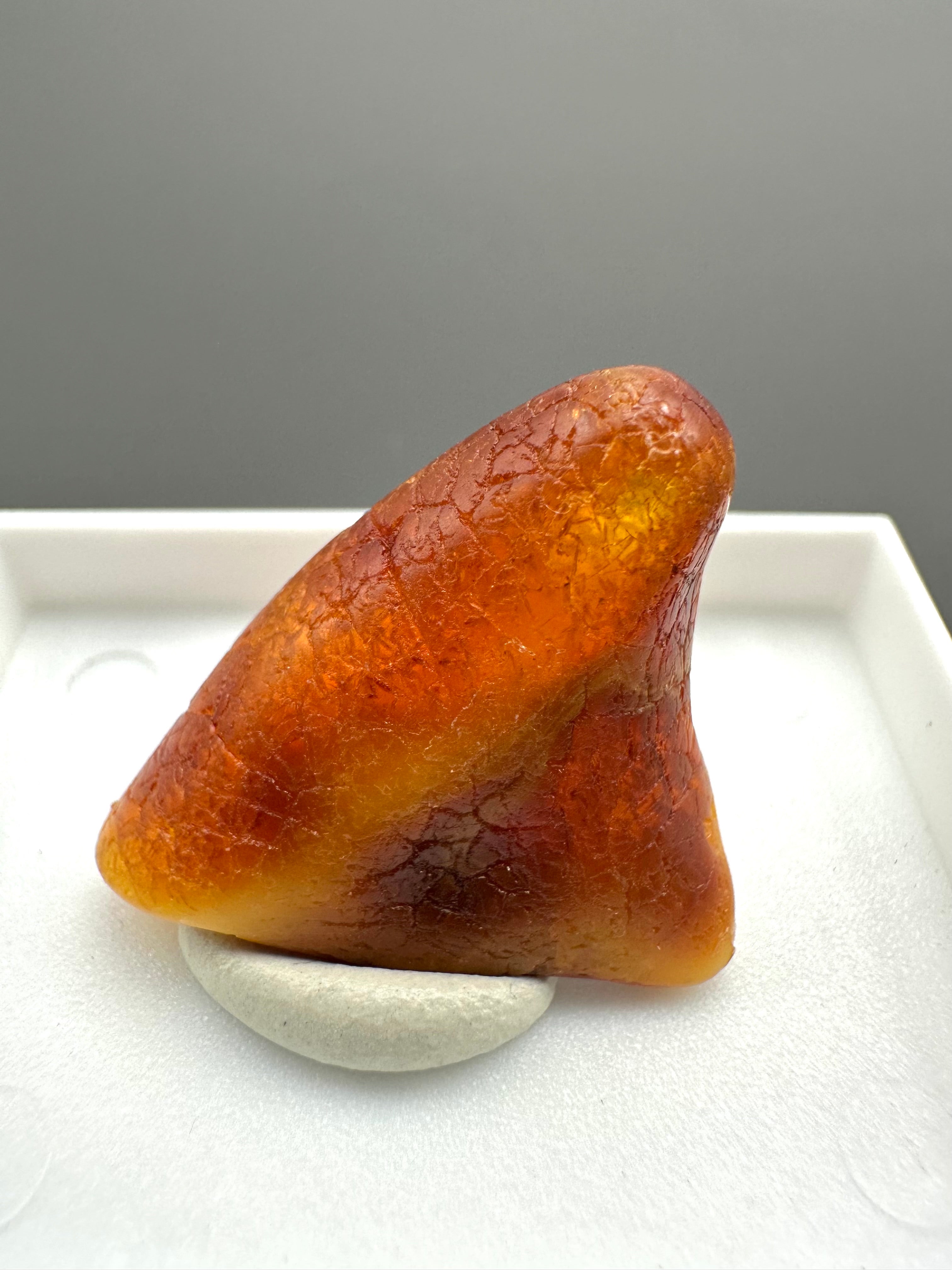 Amber – Gdańsk, Poland - MVK551