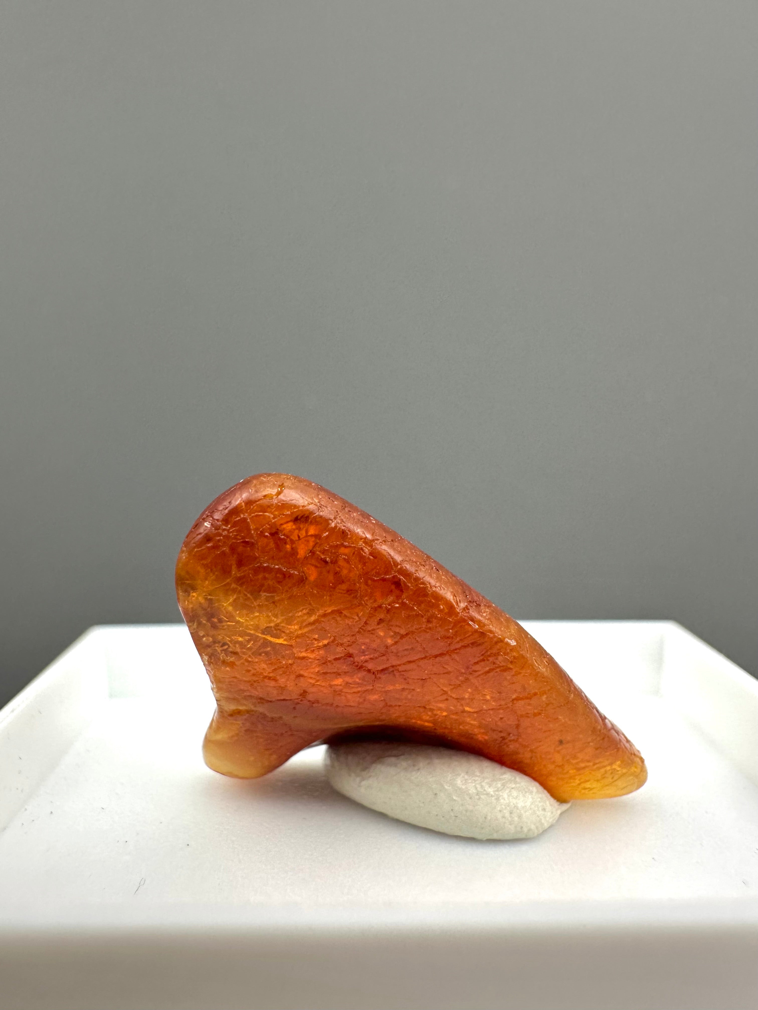 Amber – Gdańsk, Poland - MVK551
