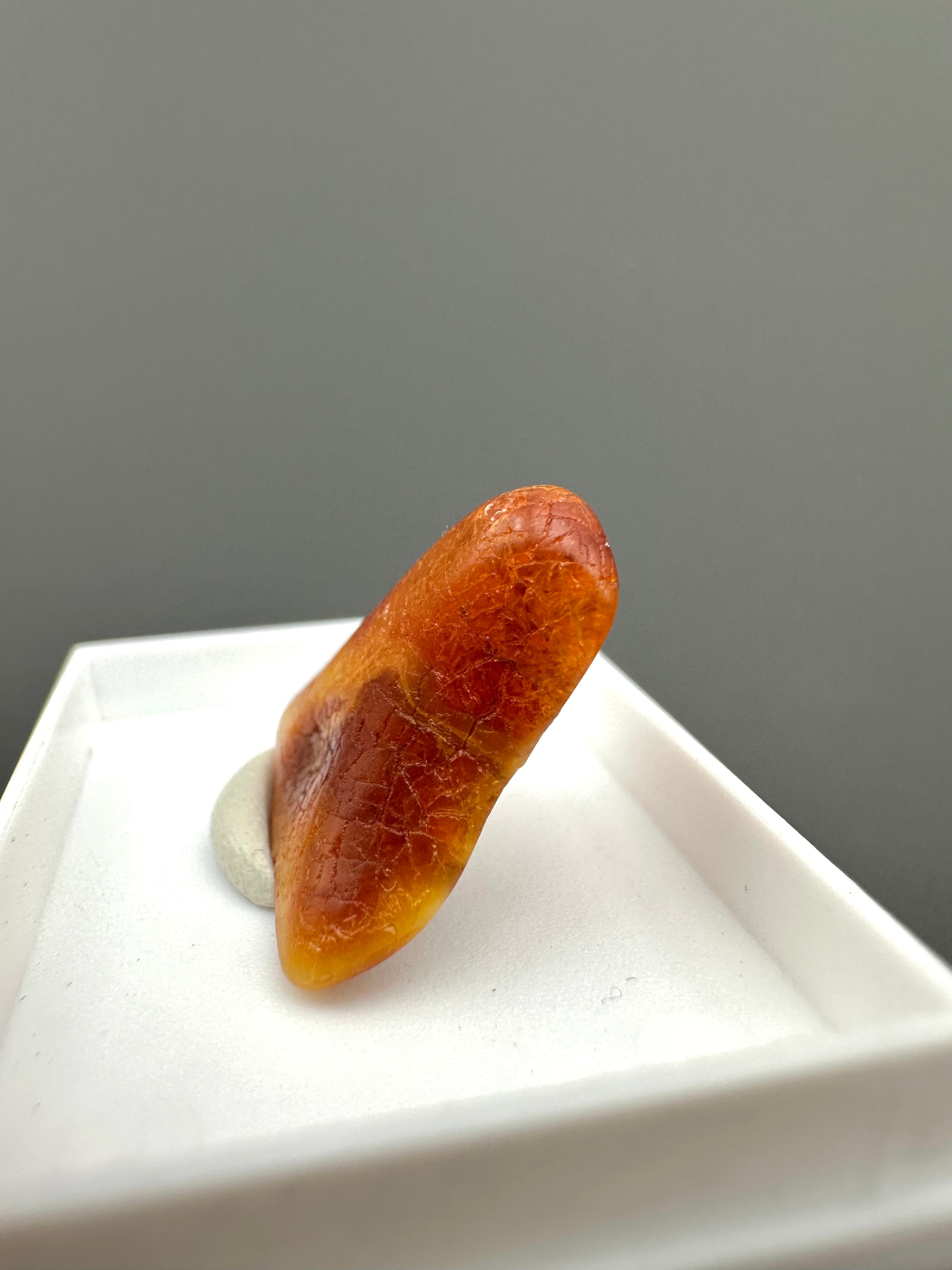 Amber – Gdańsk, Poland - MVK551
