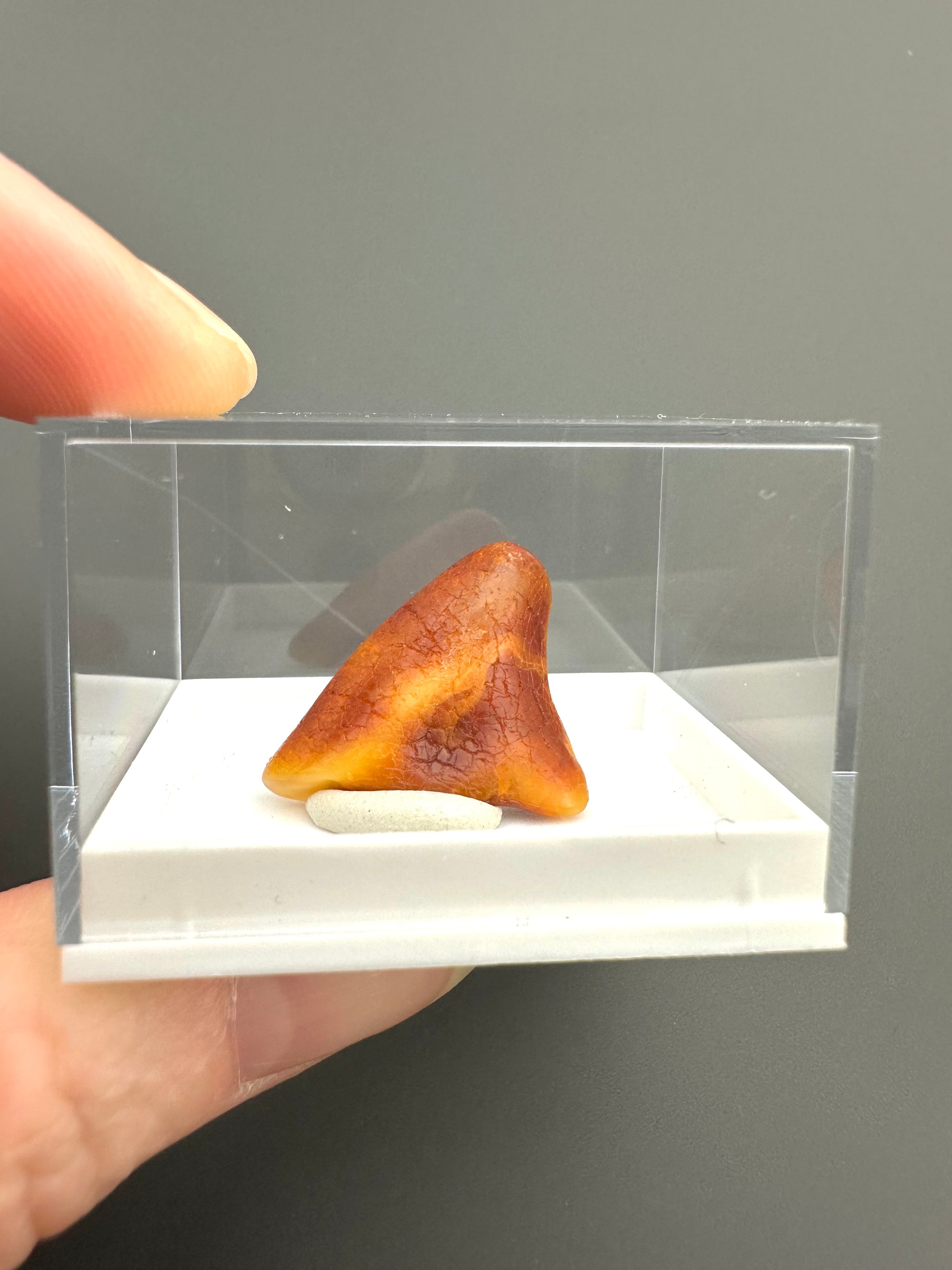 Amber – Gdańsk, Poland
