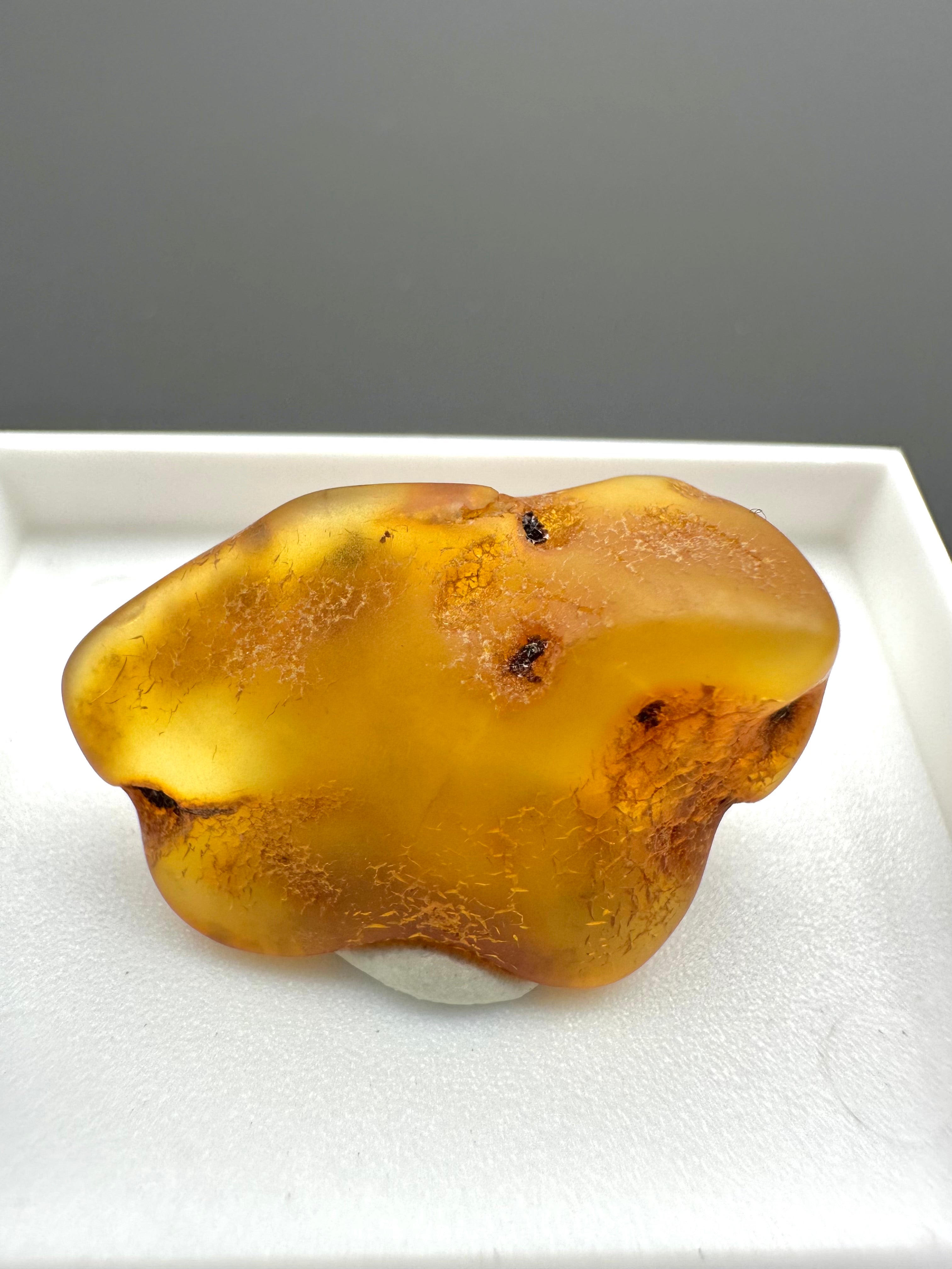 Amber – Gdańsk, Poland - MVK552