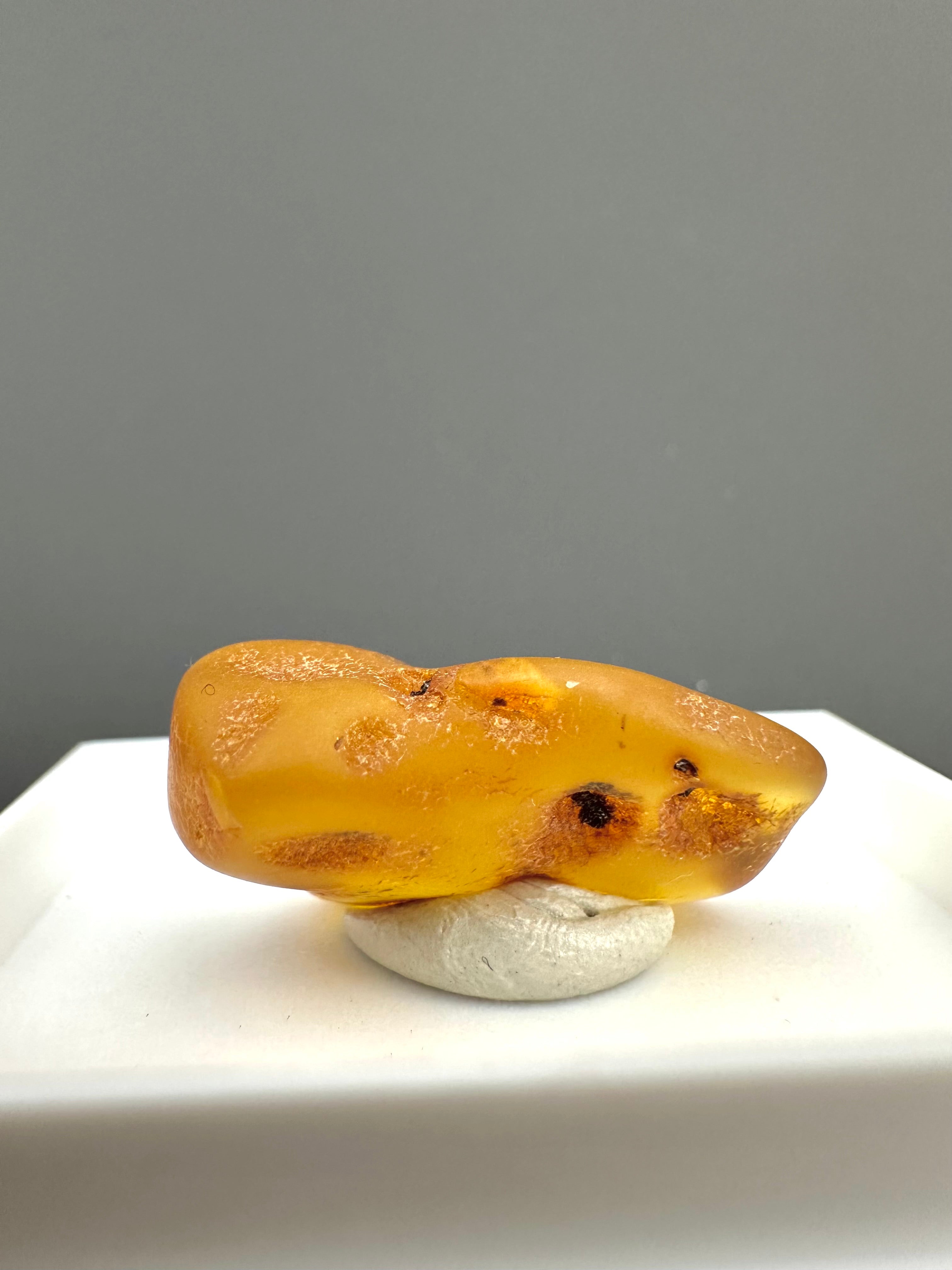 Amber – Gdańsk, Poland - MVK552