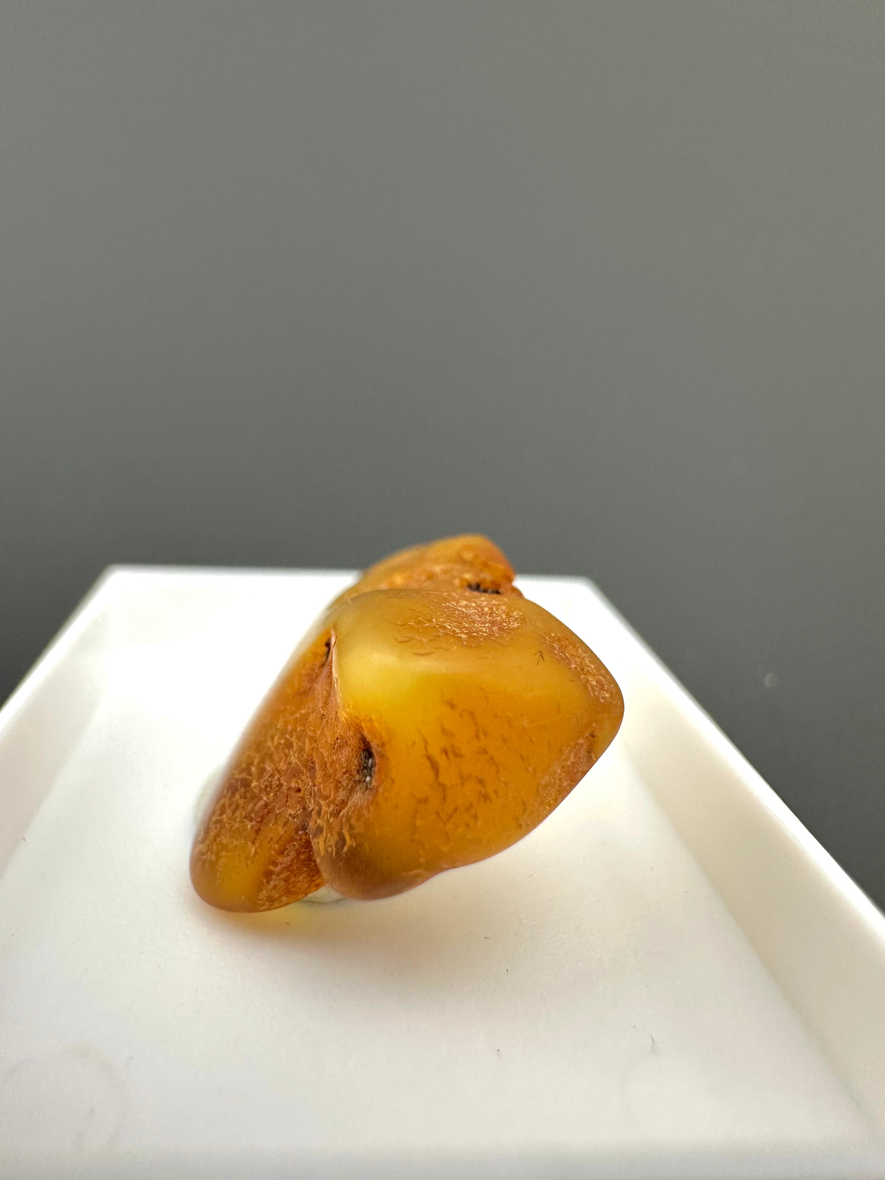 Amber – Gdańsk, Poland - MVK552